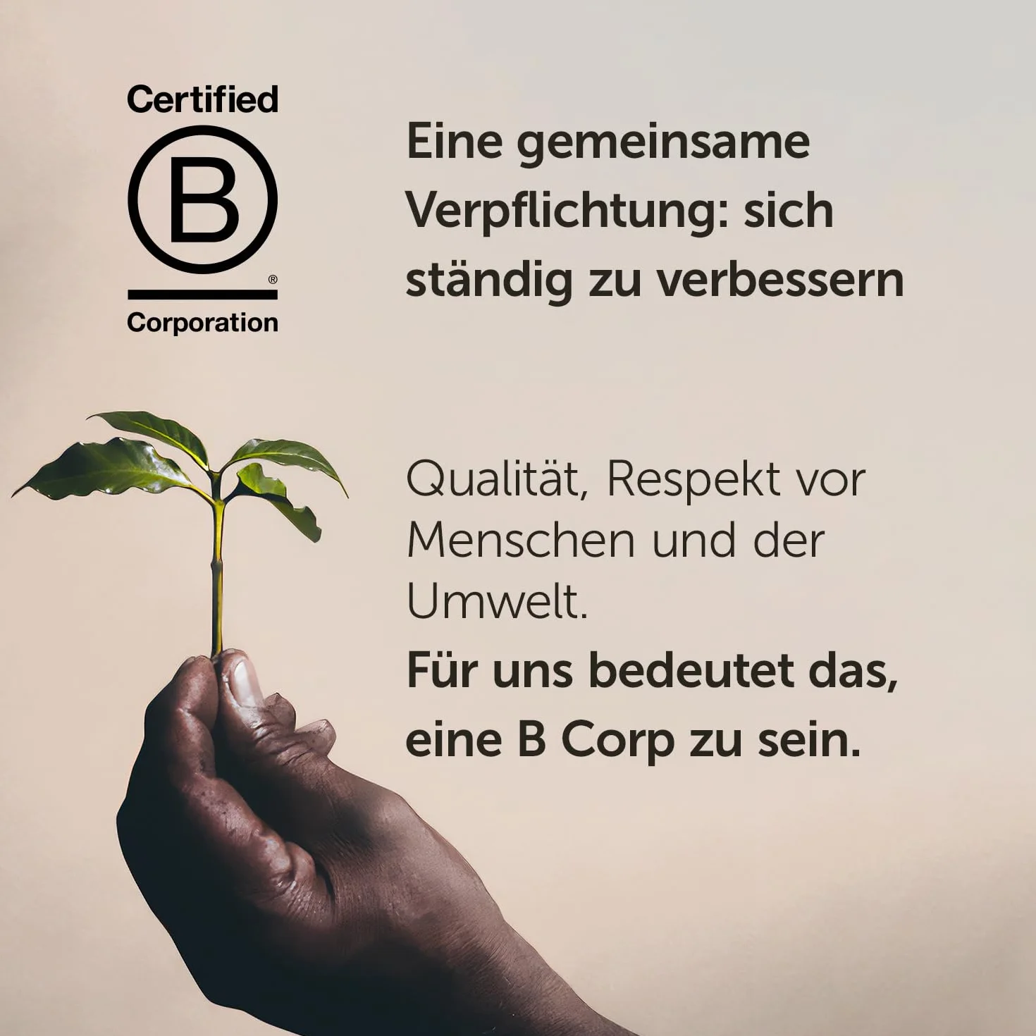 illy Kawa mielona Arabica Cerrado Minero Brazil puszka 250 g