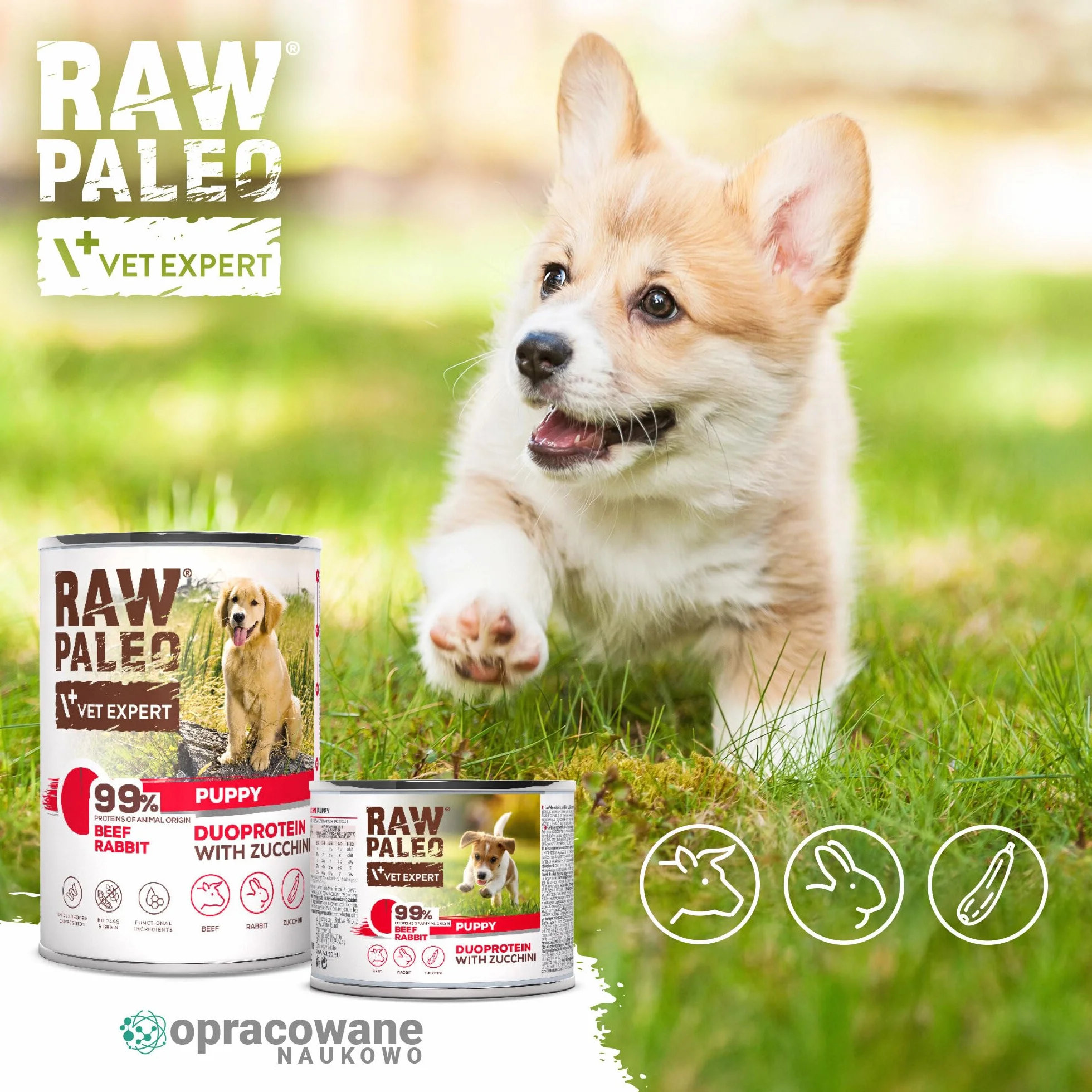 RAW PALEO BEEF&RABBIT PUPPY CAN - mokra karma dla szczeniąt duoproteina wołowina z królikiem puszka 400g