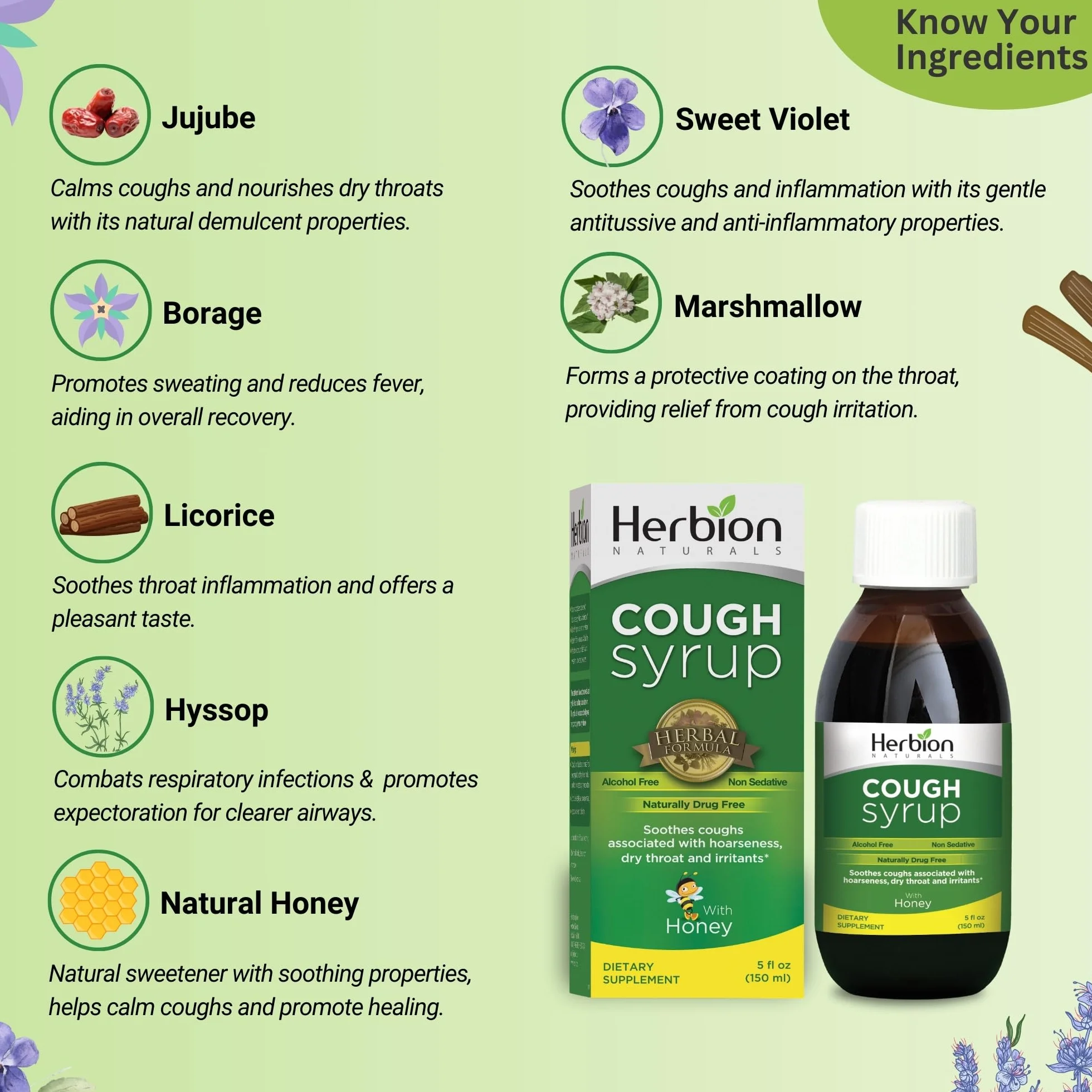 Herbion Naturals Syrop na kaszel z miodem - 5 FL Oz - pomaga na kaszel i łagodzi ból gardła - dla dorosłych i dzieci od 13 miesięcy - 24 syropy na kaszel
