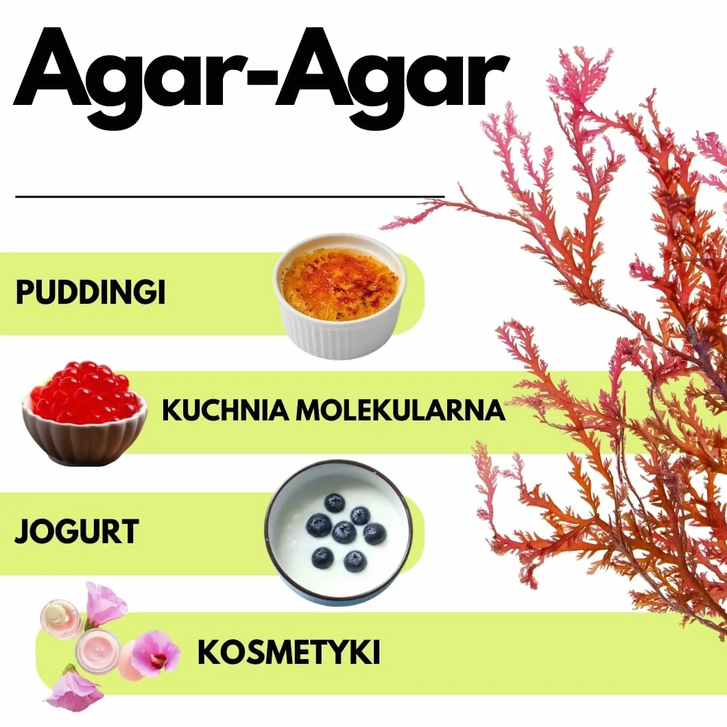 SaporePuro AGAR AGAR w proszku 50 g – Naturalny środek żelujący bez glutenu