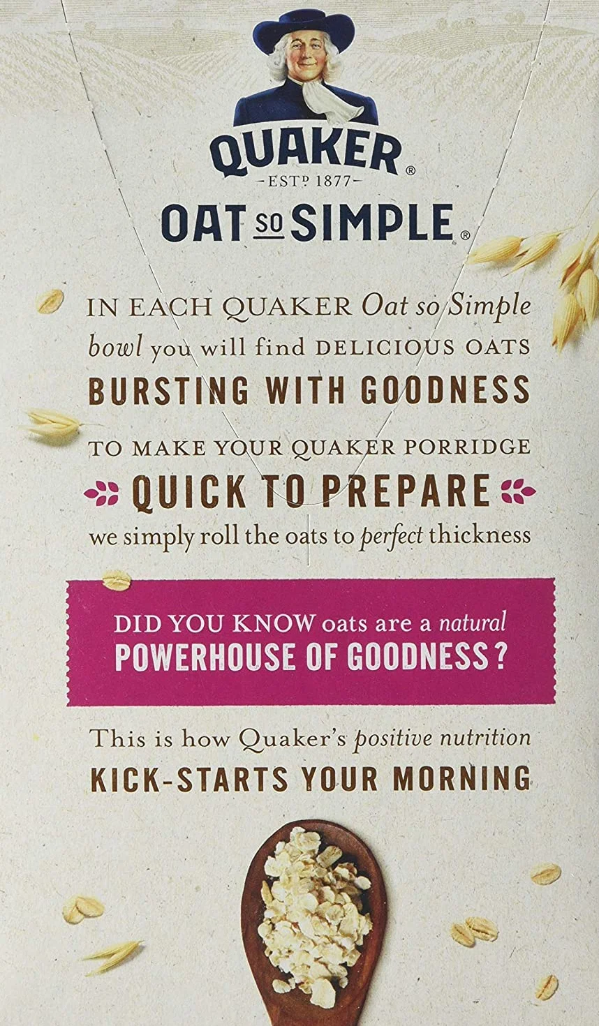 Quaker Oat So Simple Truskawka i Malina 339g