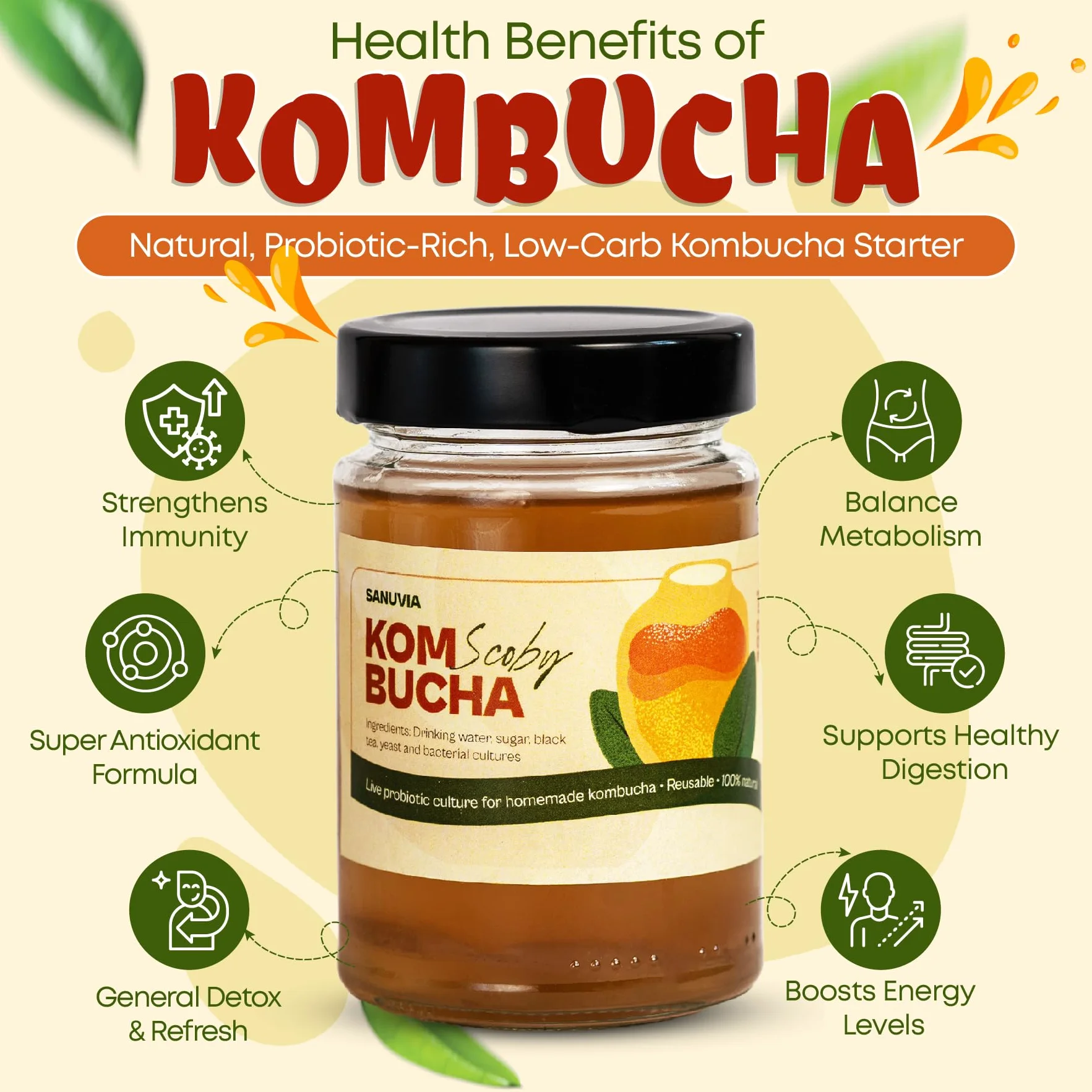 SANUVIA Kombucha SCOBY Starter Culture – Grzybek herbaciany z 300 ml herbaty startowej w szklanym słoiku – Wegański, żywa kultura, wielokrotnego użytku – Instrukcje na etykiecie – 100% naturalny