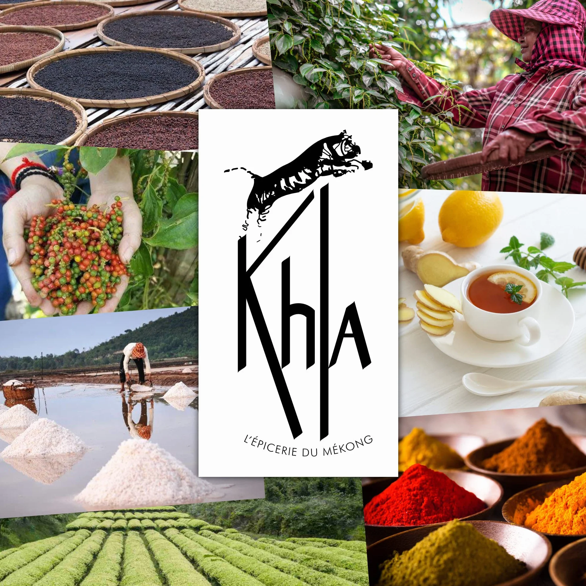 Khla - Kampot pieprz czarny bio 120 g - czarny pieprz całkowicie organiczny - Grand Cru - składnik kuchni - bezpośrednio od producenta - całe ziarna do młynka - z Kambodży