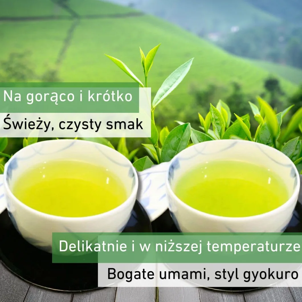 Daisan Tea Ryogouchi Sencha 100 g – Japońska zielona herbata premium z Shizuoka | 1. miejsce w Japońskim Krajowym Konkursie Herbacianym