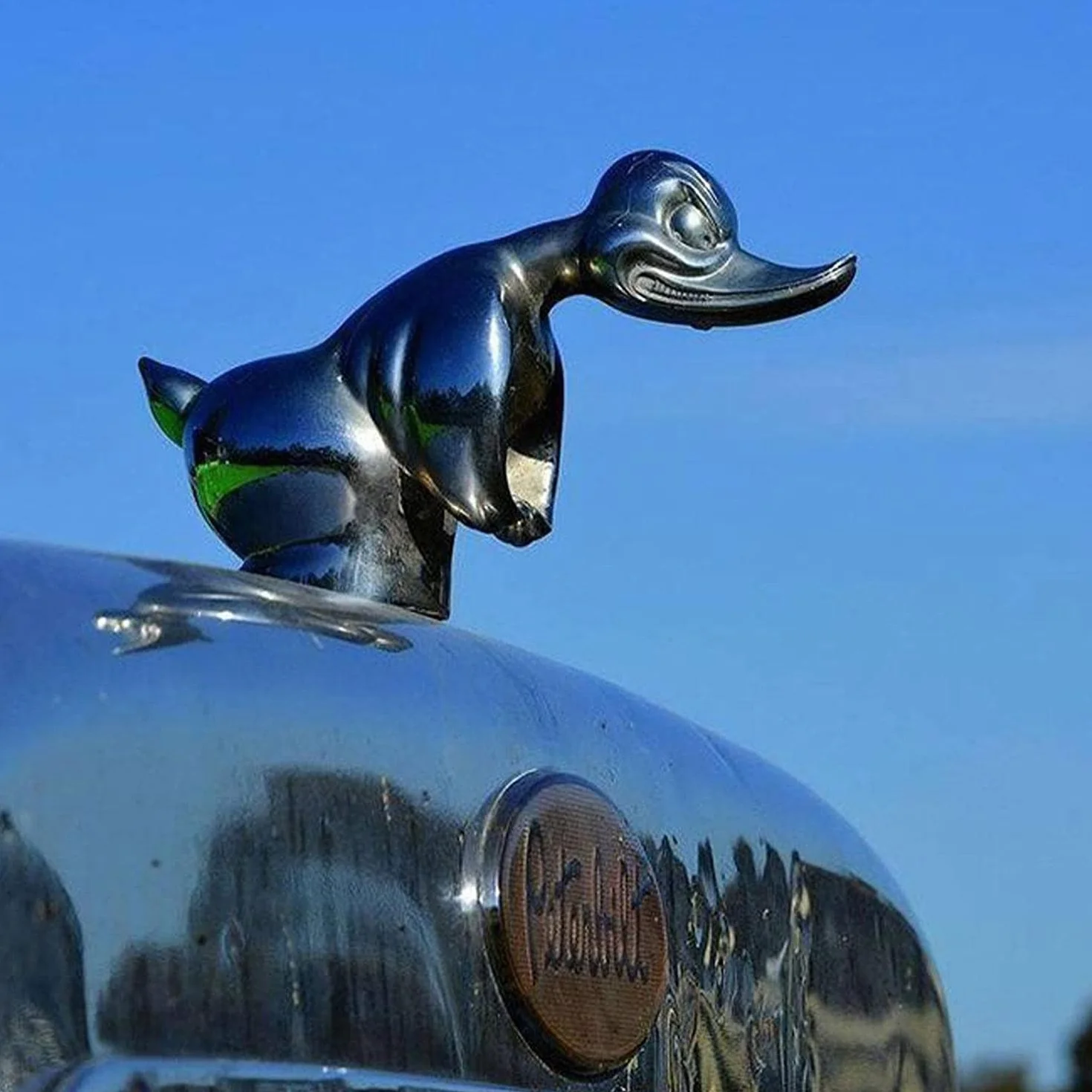 Angry Duck figurka na chłodnicy, emblemat samochodowy, fajna kaczka, akcesoria dekoracyjne do samochodu, figurka na chłodnicę dla ciężarówki (Kolor: czarny)