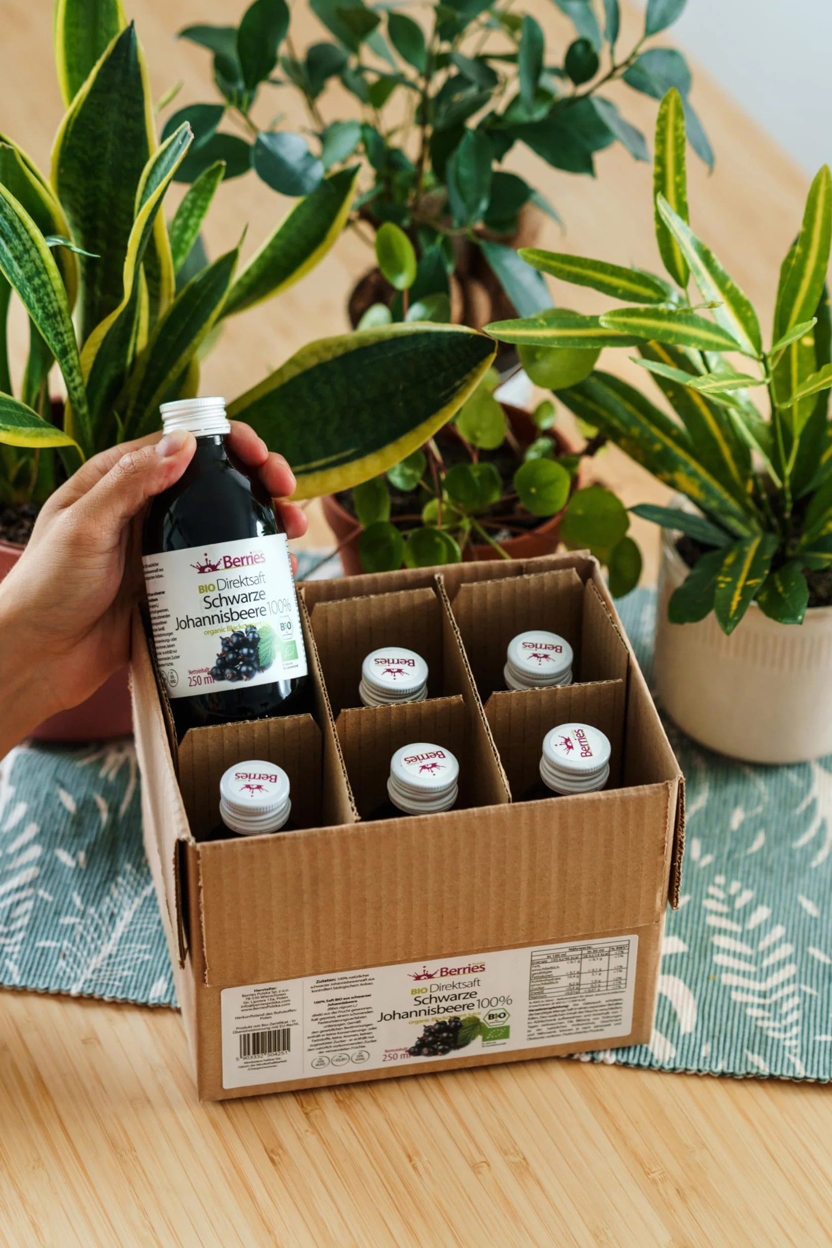 Berries Polska BIO 6x250ml Sok Bezpośrednio z Owoców Ekologicznych Tłoczony na Zimno - bez barwników, bez cukru, bez GMO, bez konserwantów - Wegański, Wegetariański, Organiczny - Czarna porzeczka