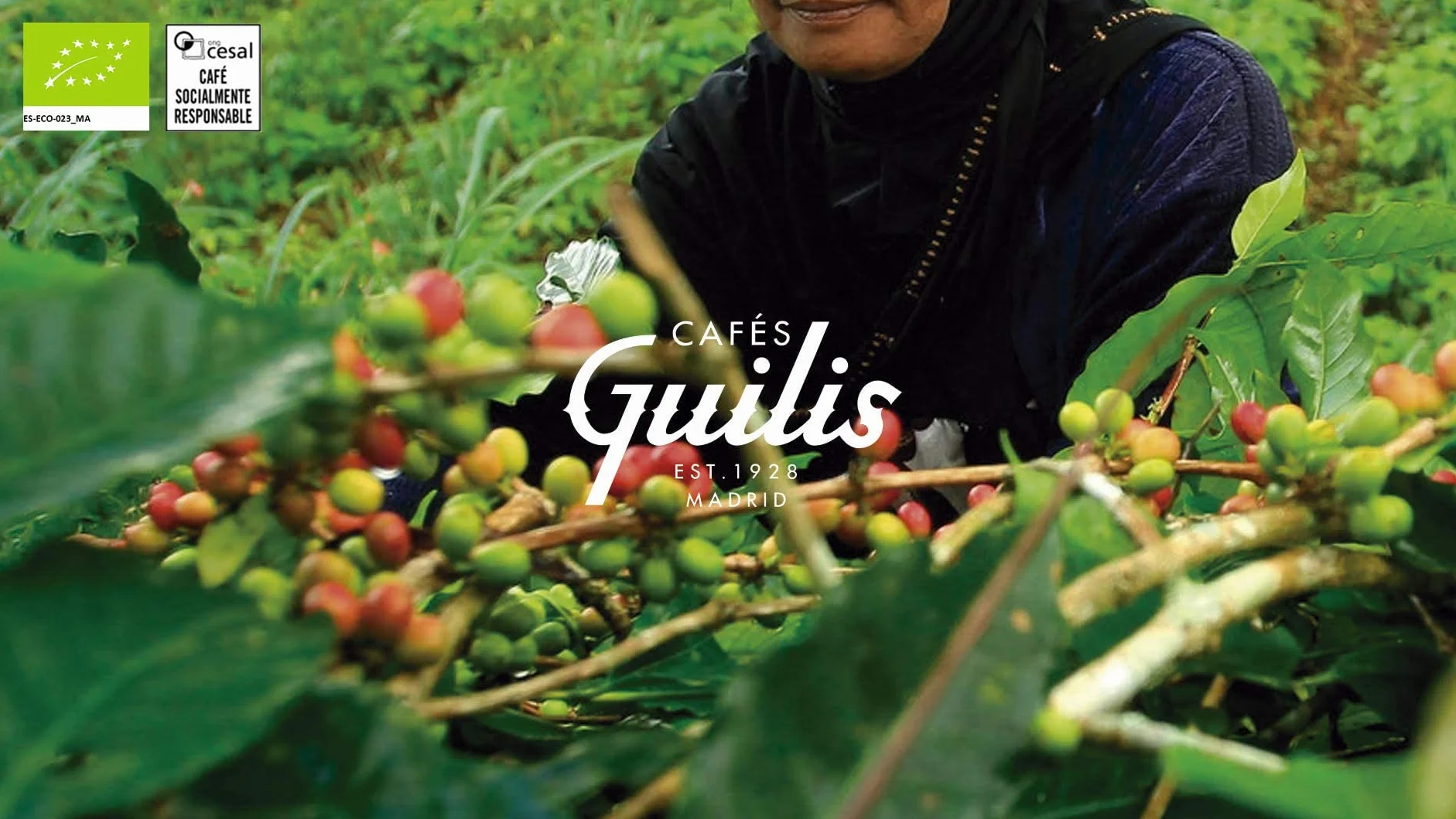 CAFES GUILIS DESDE 1928 AMANTES DEL CAFE Ekologiczne ziarna kawy Arabica naturalnie woskowane Artisan prażenie 1 kg