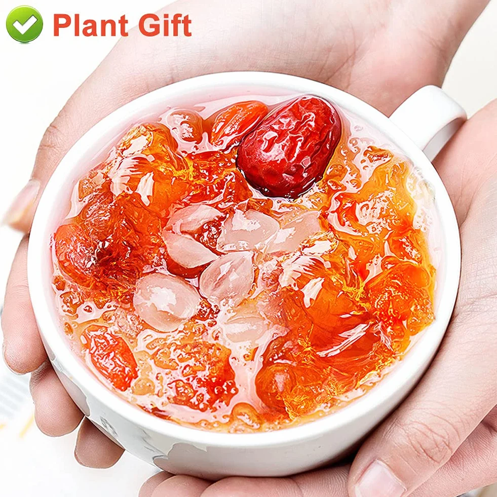 Plant Gift Natural Wild Peach Gum 230G/8.11oz jadalne łzy brzoskwiniowe, tao jiao brzoskwiniowe żywice, dodatki do żywności za darmo