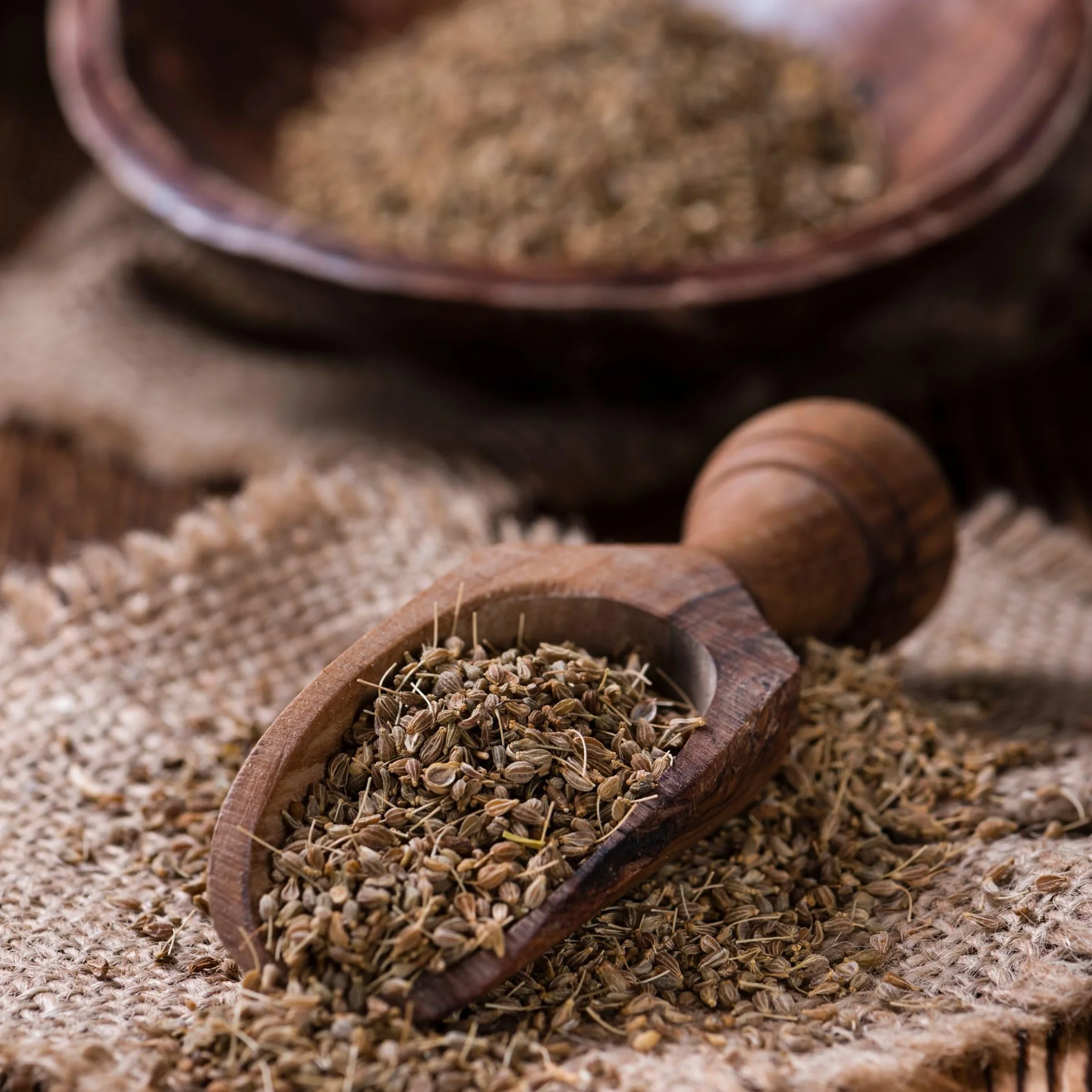 Alpi Nature ANIS nasiona anyżu 500 g 100% naturalne wegańskie