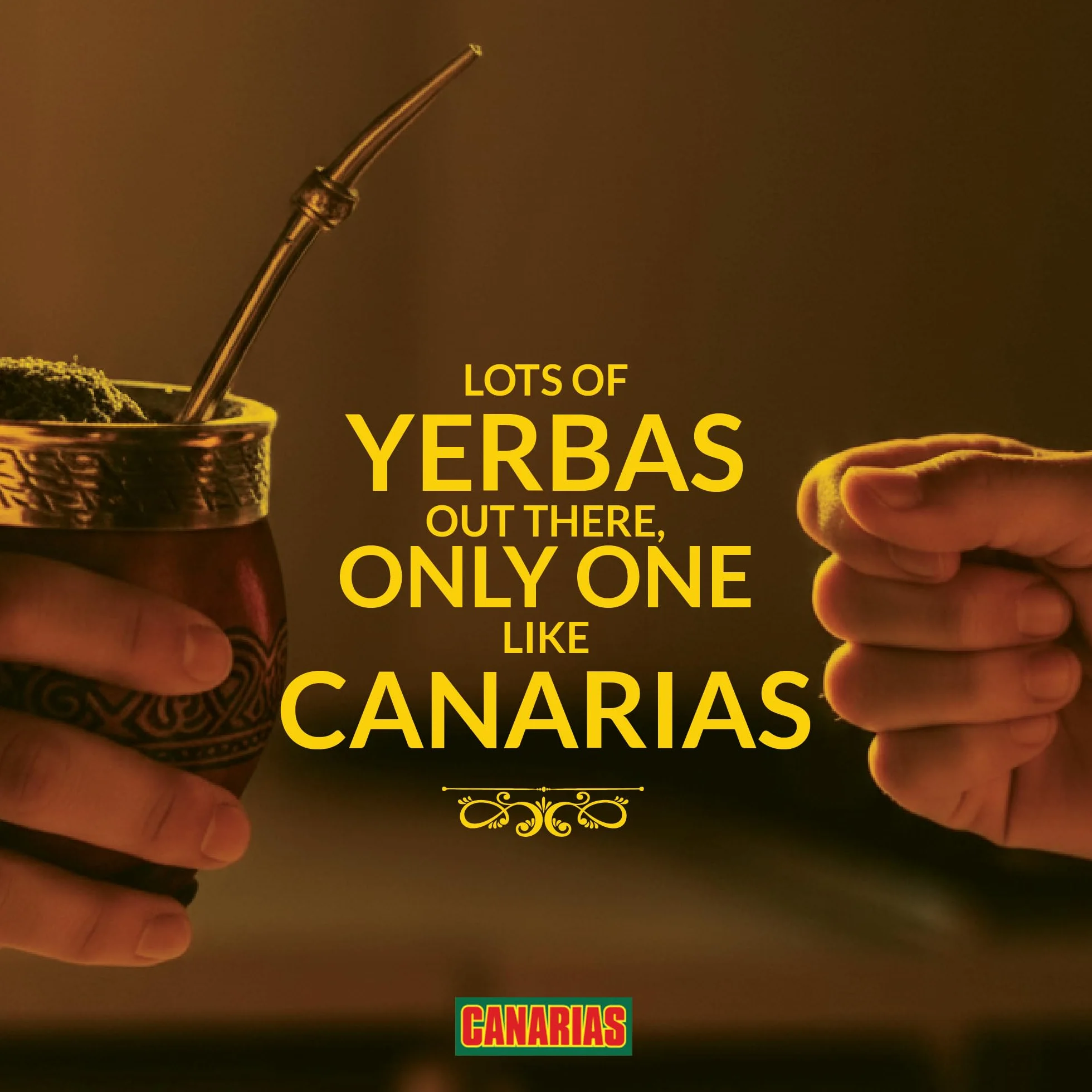 Brazylia Matowa Tea, Pakiet 1 kg - Yerba Mate Canarias Edycja specjalna 1kg