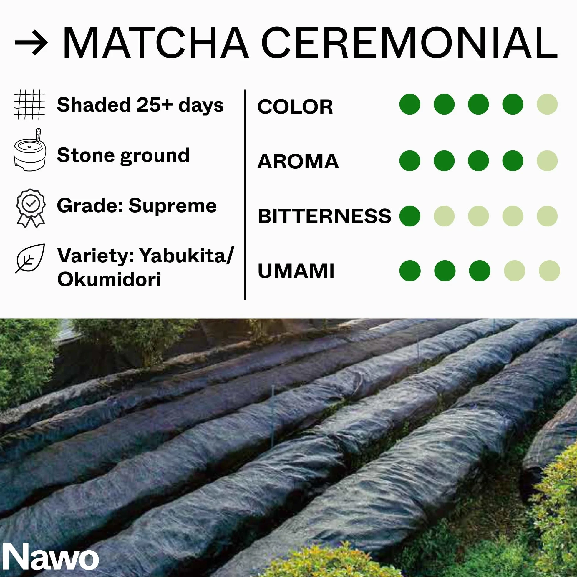 Nawo Routines Matcha Premium – 30 g & 100g, Klasa Ceremonialna, 100 % Naturalna i Ekologiczna Zielona Herbata w Proszku z Japonii (30g, Matcha)