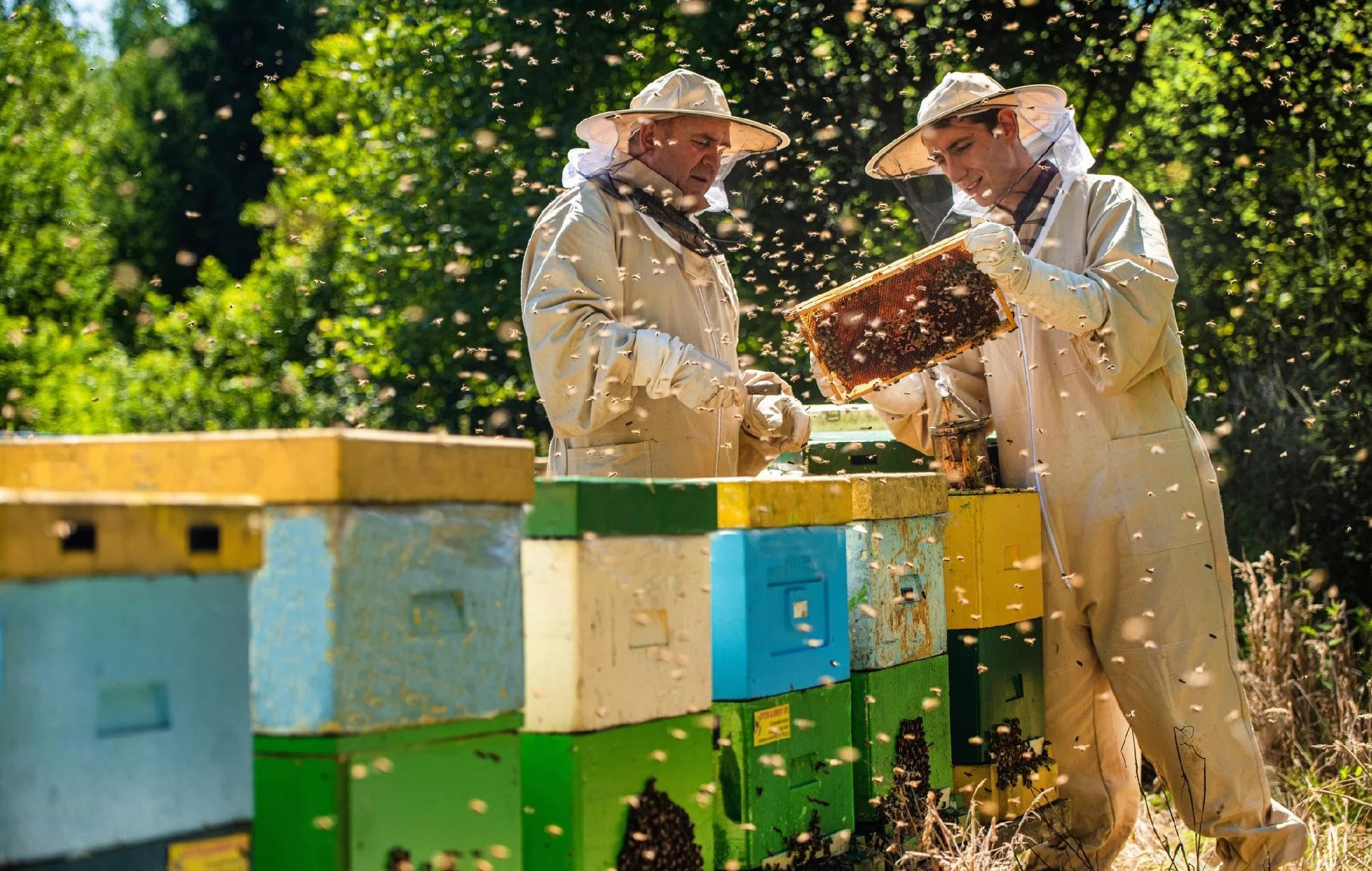 Pyłek Kwiatowy Pszczeli 125g Naturalny Suplement Witaminy Minerały Polska Pasieka Warmia