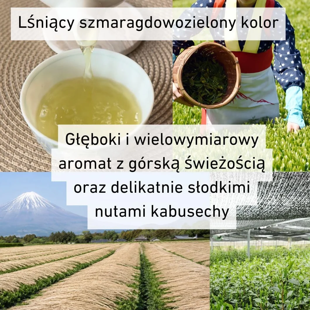 Daisan Tea Ryogouchi Sencha 100 g – Japońska zielona herbata premium z Shizuoka | 1. miejsce w Japońskim Krajowym Konkursie Herbacianym