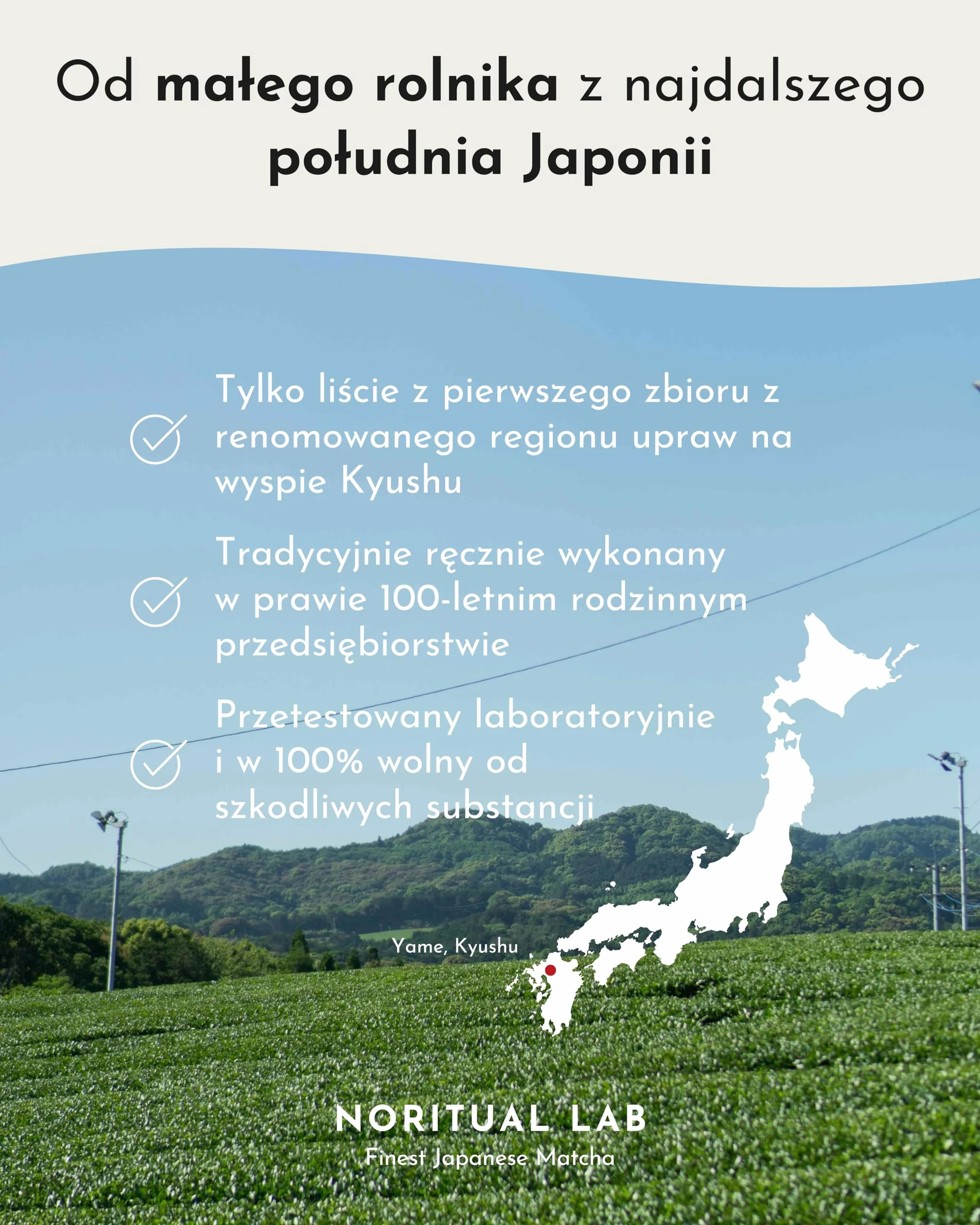 Ceremonialna Matcha 100% Naturalna Zielona Herbata w Proszku z Japonii 40g