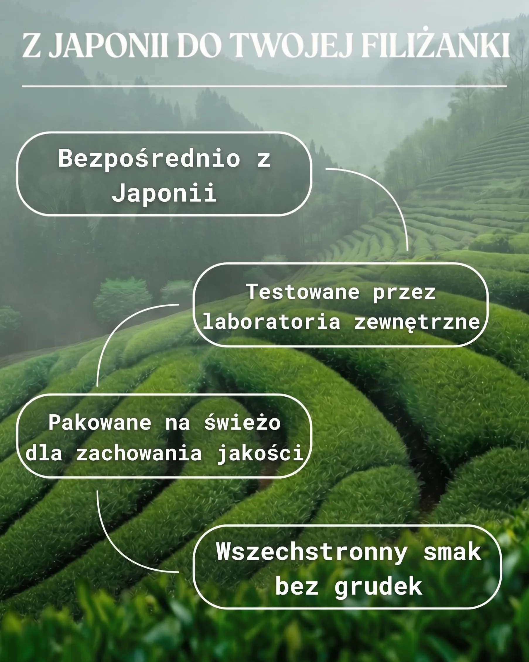 NaturaleBio Premium Matcha w Proszku - 100% Organiczna Japońska Herbata Zielona USDA - 113g (4oz) - Ceremonialny Gatunek dla Smoothie, Latte, Wypieków