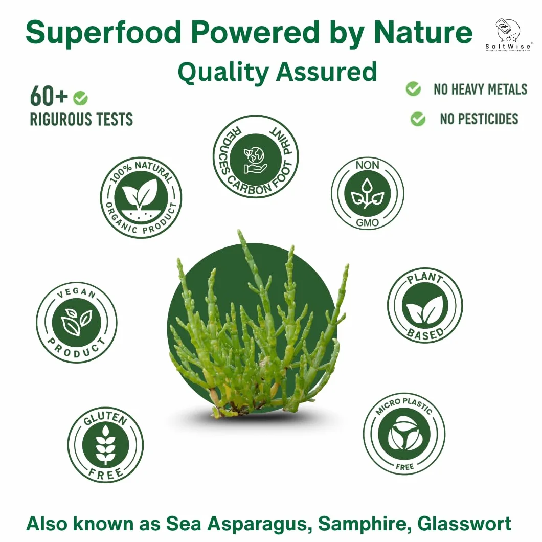 SaltWise Salicornia White Salt 2-Pack Low Sodium Substitute Plant-Based Mineral Kosher 14.10 oz 400g