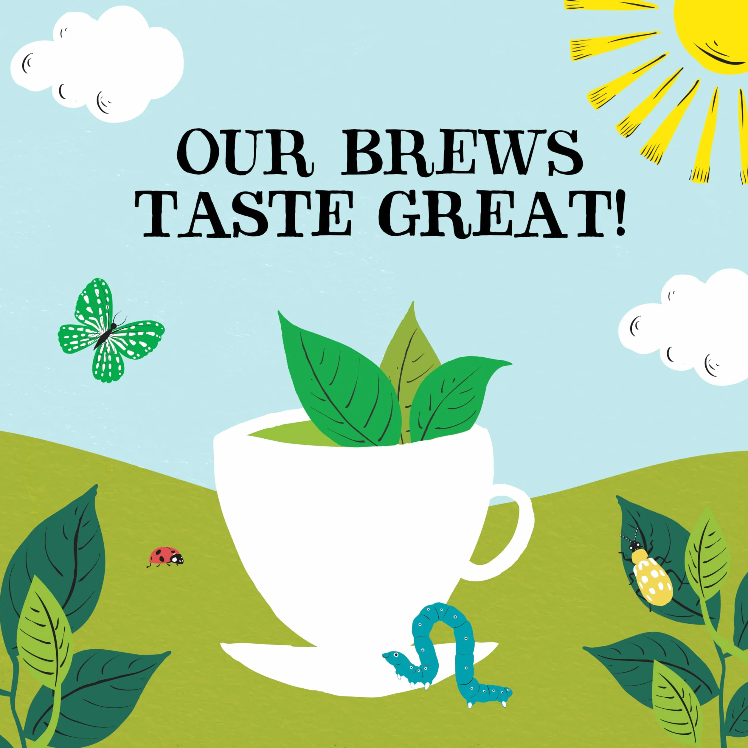 Clipper Fairtrade Pure Green Tea 80 torebek