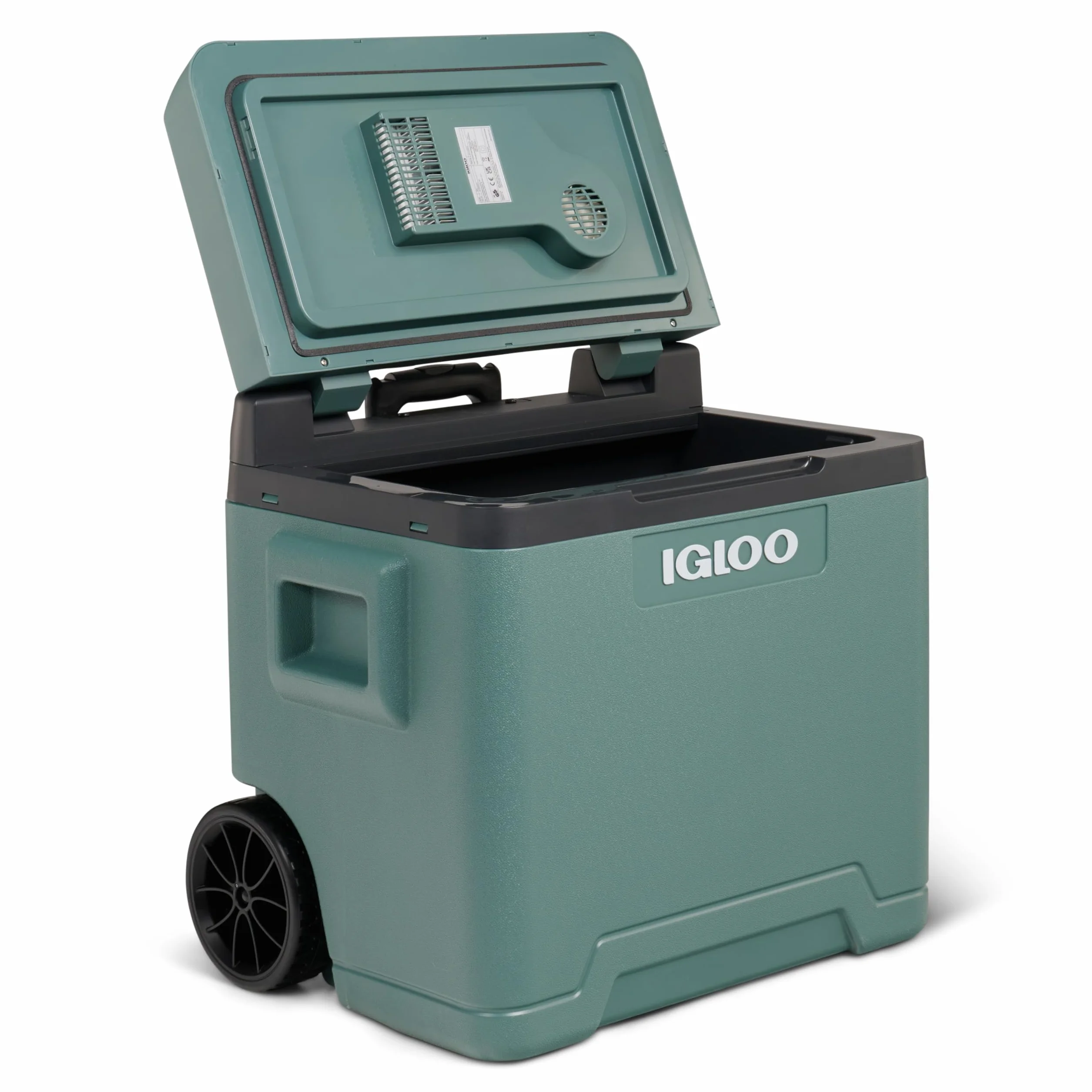 IGLOO IE42 elektryczna lodówka 42L – 12/230V – Termoelektryczna lodówka z kółkami i uchwytem teleskopowym do auta, kampera, kempingu i ciężarówki – Chłodzi do 20 °C poniżej temperatury otoczenia