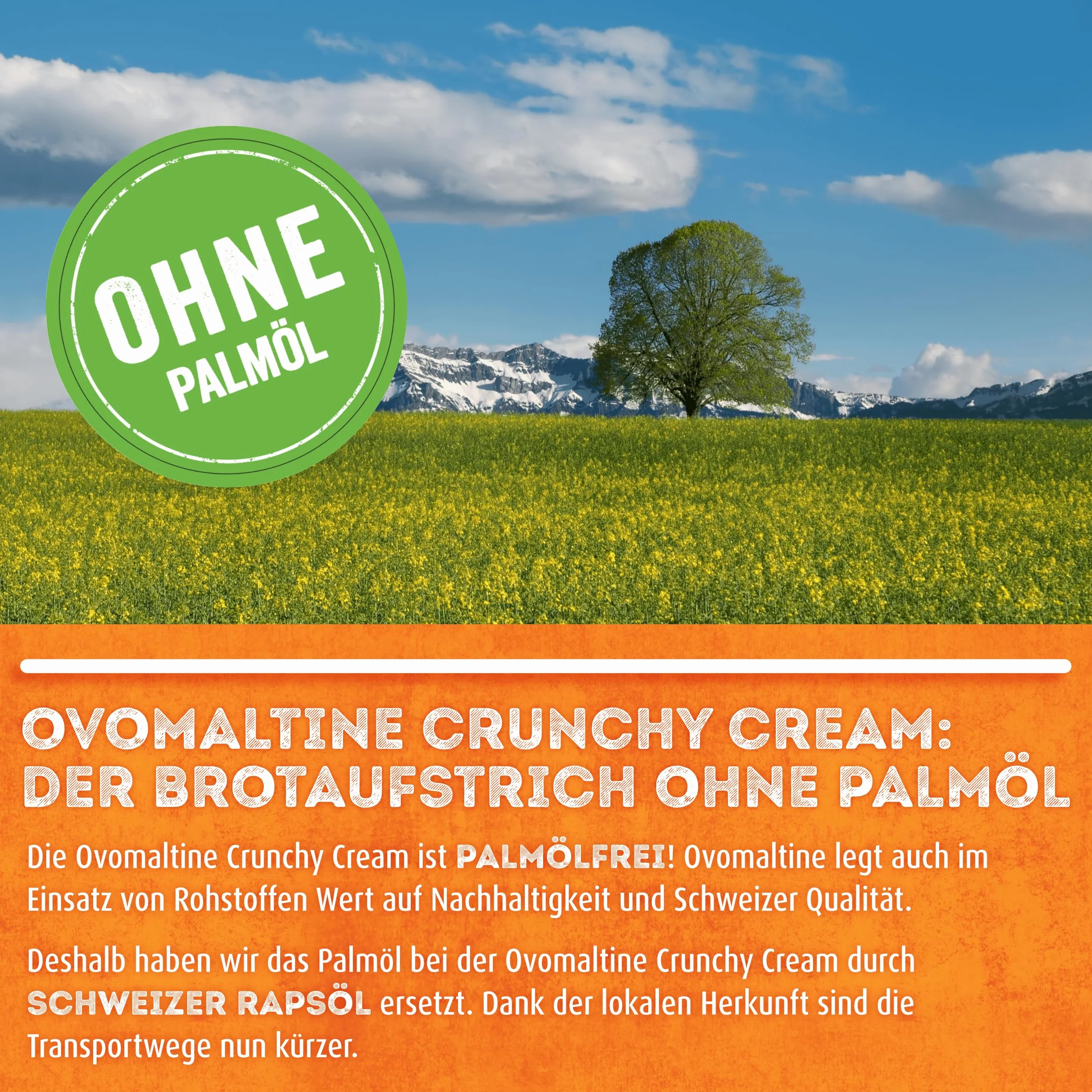 Ovomaltine Crunchy Cream pasta do smarowania chleba – wyjątkowo chrupiący krem czekoladowy bez oleju palmowego – słodka smarka z chrupiącymi kawałkami owomaltiny – wyprodukowano w Szwajcarii (1 x 380 g)
