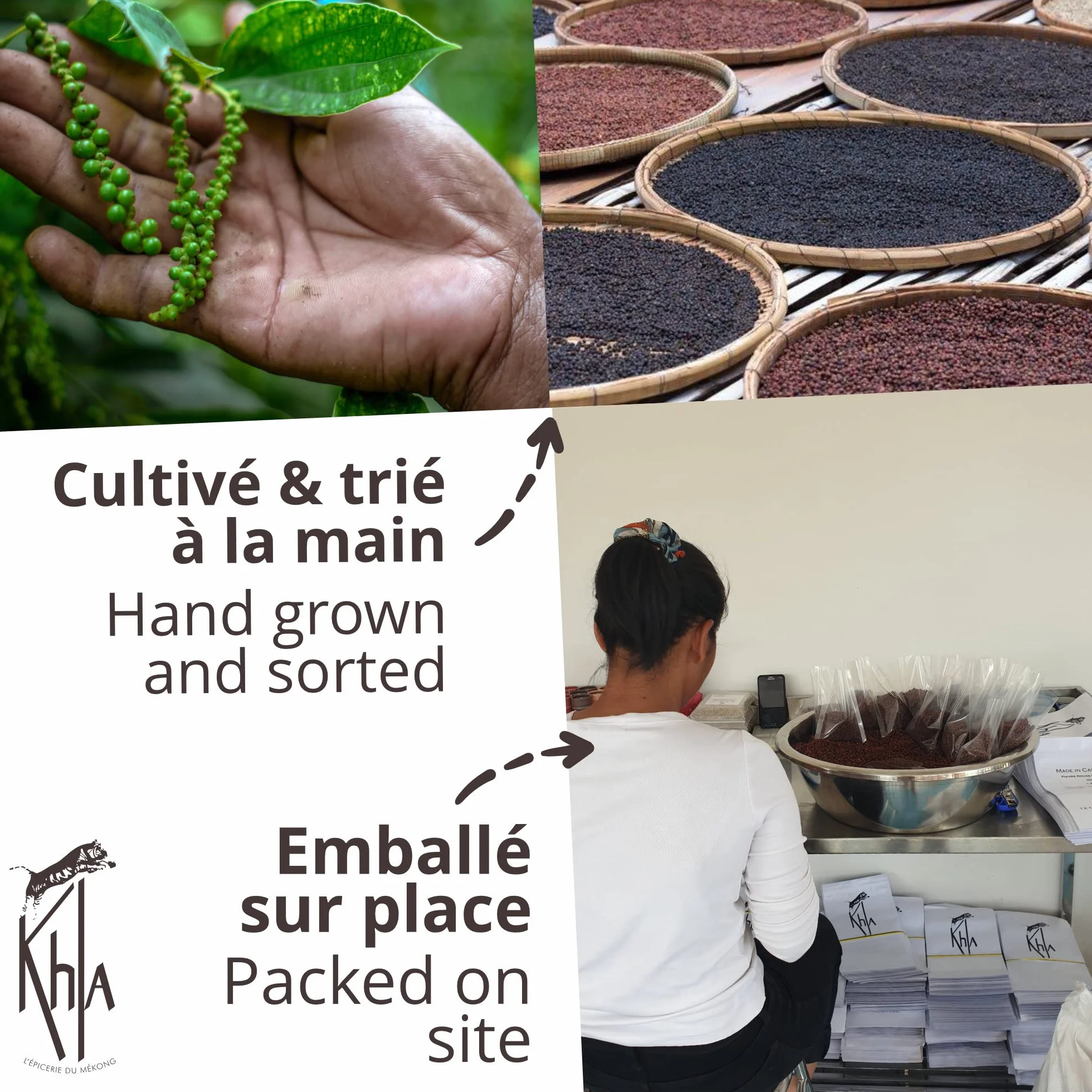 Khla - Kampot pieprz czarny bio 120 g - czarny pieprz całkowicie organiczny - Grand Cru - składnik kuchni - bezpośrednio od producenta - całe ziarna do młynka - z Kambodży