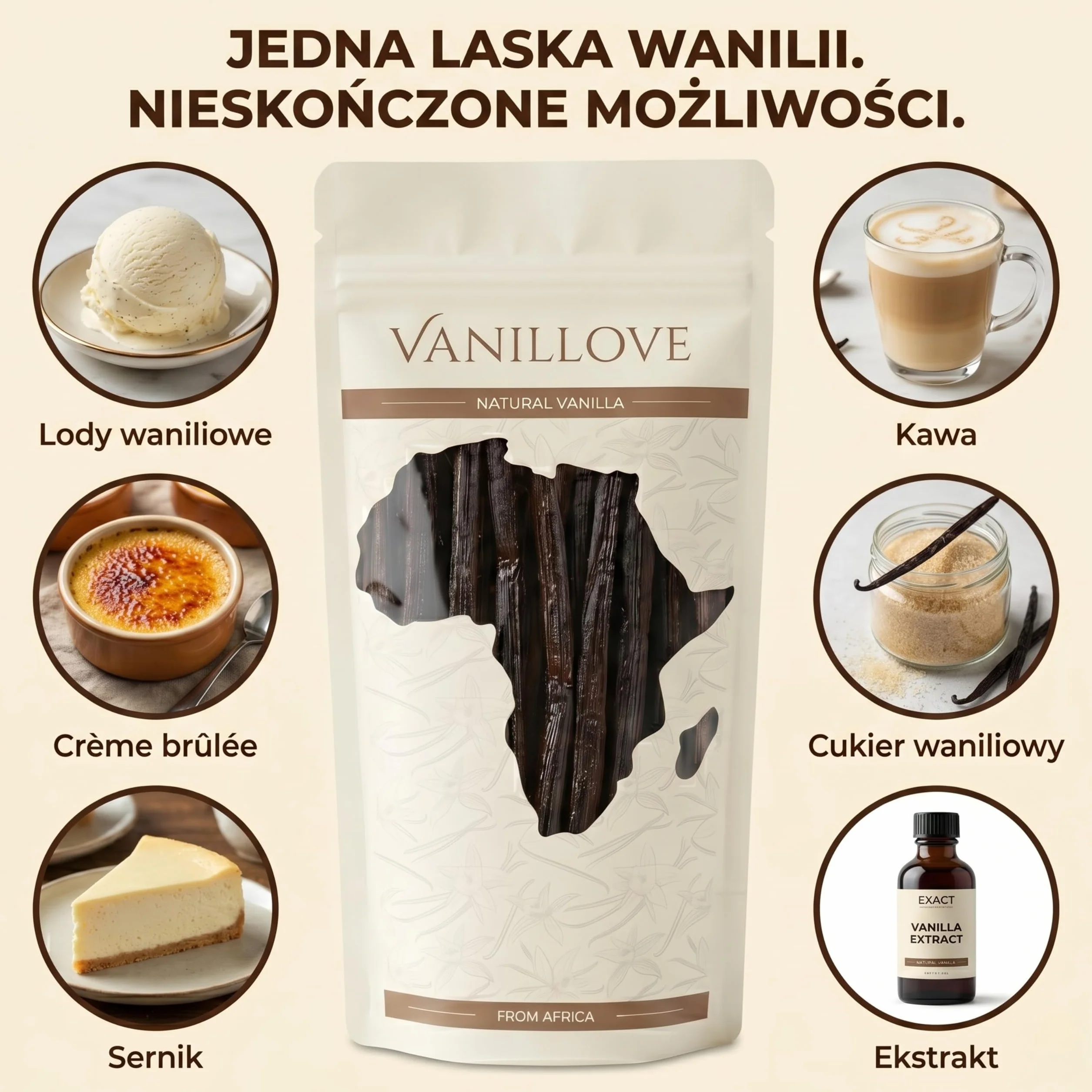 WANILIA LASKA WANILII SZTUK XXL (16-18 CM) ŚWIEŻE LASKI WANILII