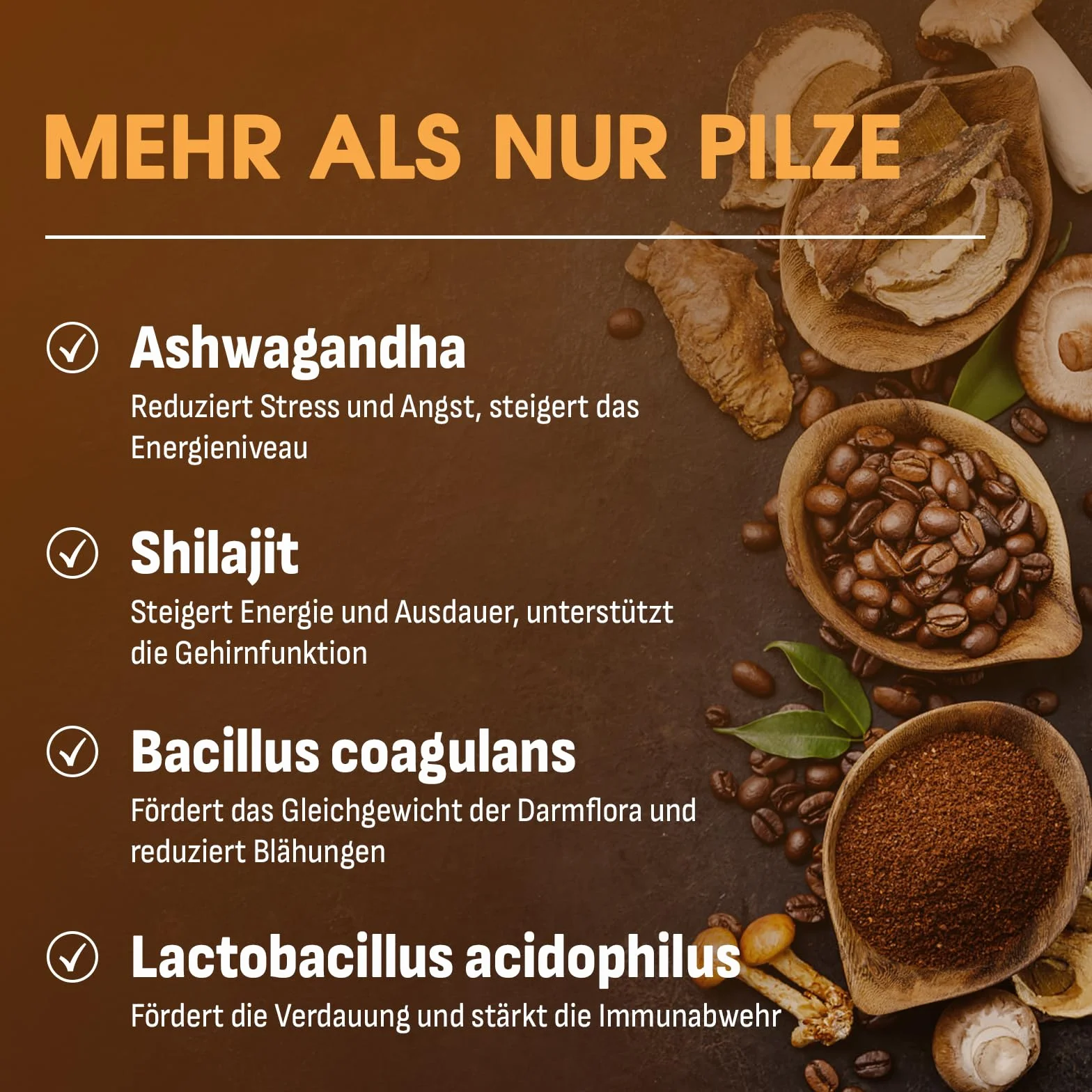 Kawa Grzybowa z Mieszanką Grzybów, Adaptogenami i Probiotykami, Instant Kawa Arabica z Lwią Grzywą, Chagą, Reishi i Cordycepsem, Ekstrakt z Grzybów w Proszku, 150 g