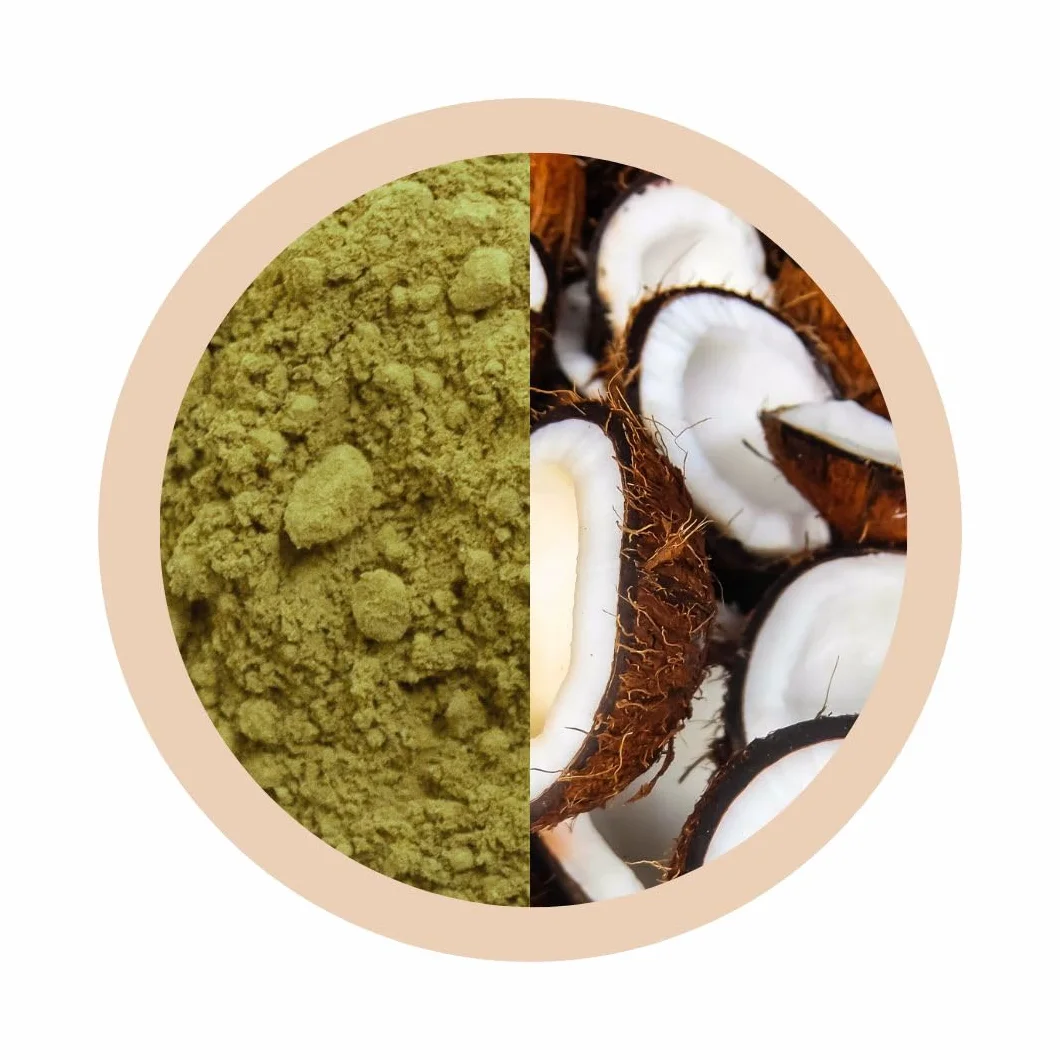 Matchaflix | Premium Matcha Kokosowa | Herbata w Proszku | Matcha w Proszku | 100g.