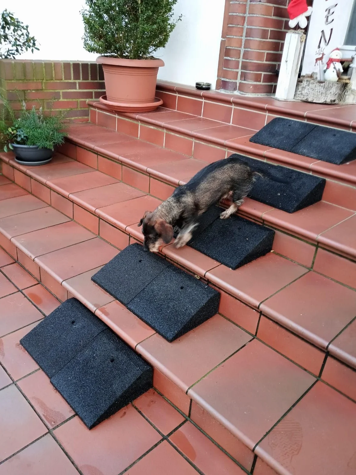 bepco Zestaw ramp rowerowych i skuterowych (2 sztuki), dł. x szer. x wys.: 25 x 25 x 6 cm z gumy (czarna) rampa najazdowa, rampa progowa, z podkładkami do mocowania