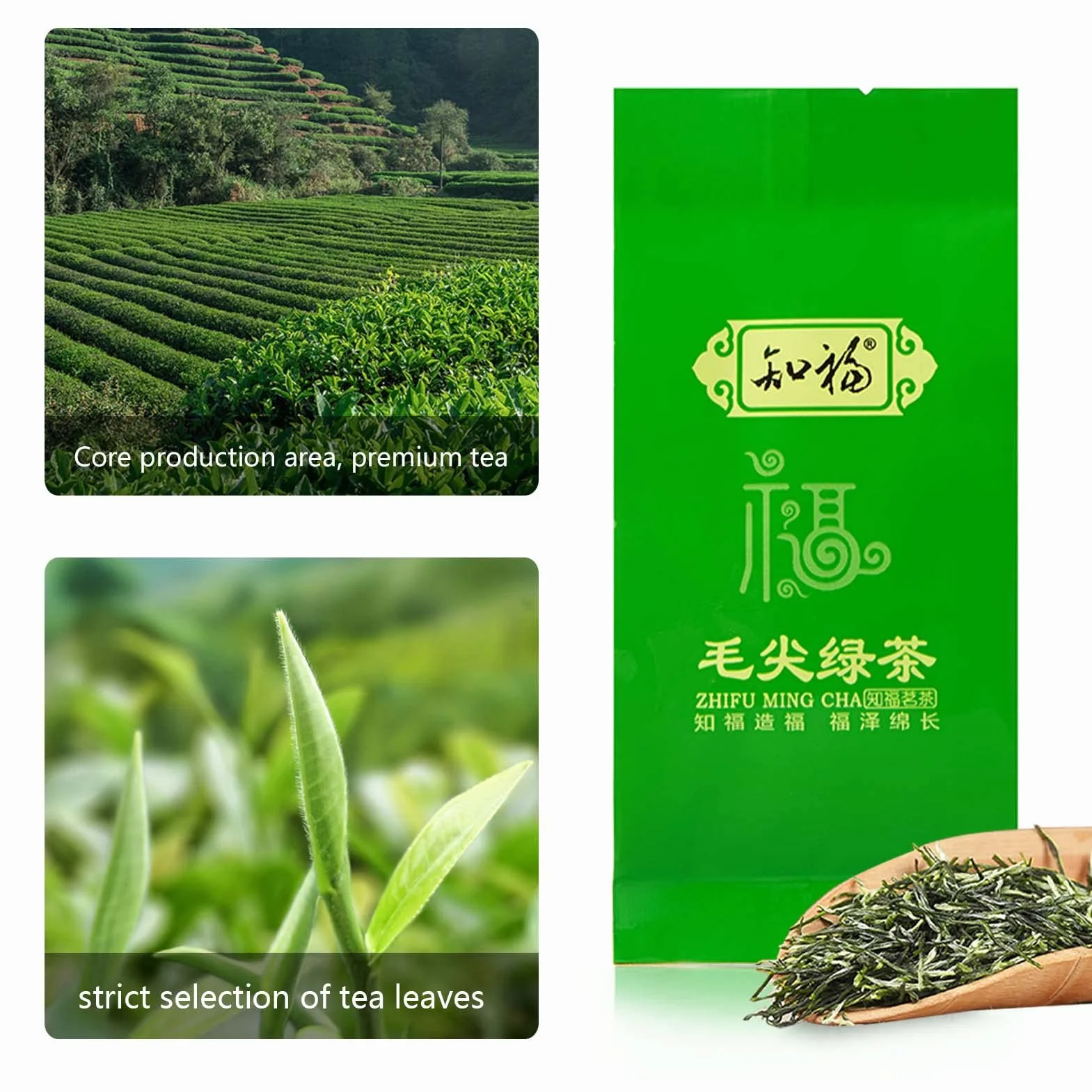 Maojian Green Tea ，150g Premium chińska słynna zielona herbata, nowa herbata Zielona herbata Maojian Spring Tea, naturalnie uprawiana wysokogórska, długi kształt paska, opakowanie 24 szt.