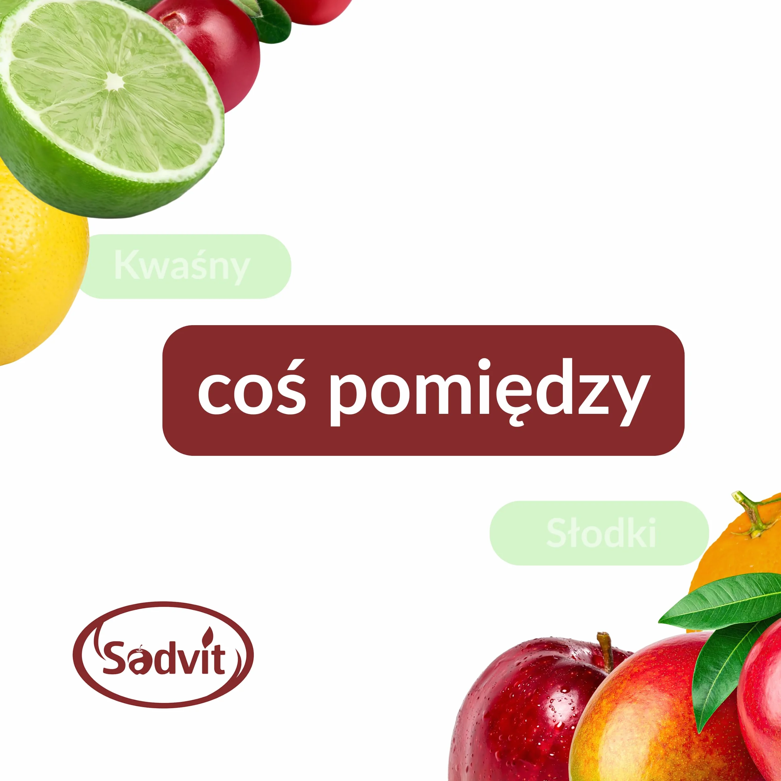 Sadvit | Witalny Sok z Granatu nie z koncentratu | 3L Bag in Box Sok owocowy NFC | Tłoczony Mętny Intensywny | Bez Dodatku Cukru i Konserwantów | Z Całych Owoców Bez Dodatku Wody | Wygodne opakowanie