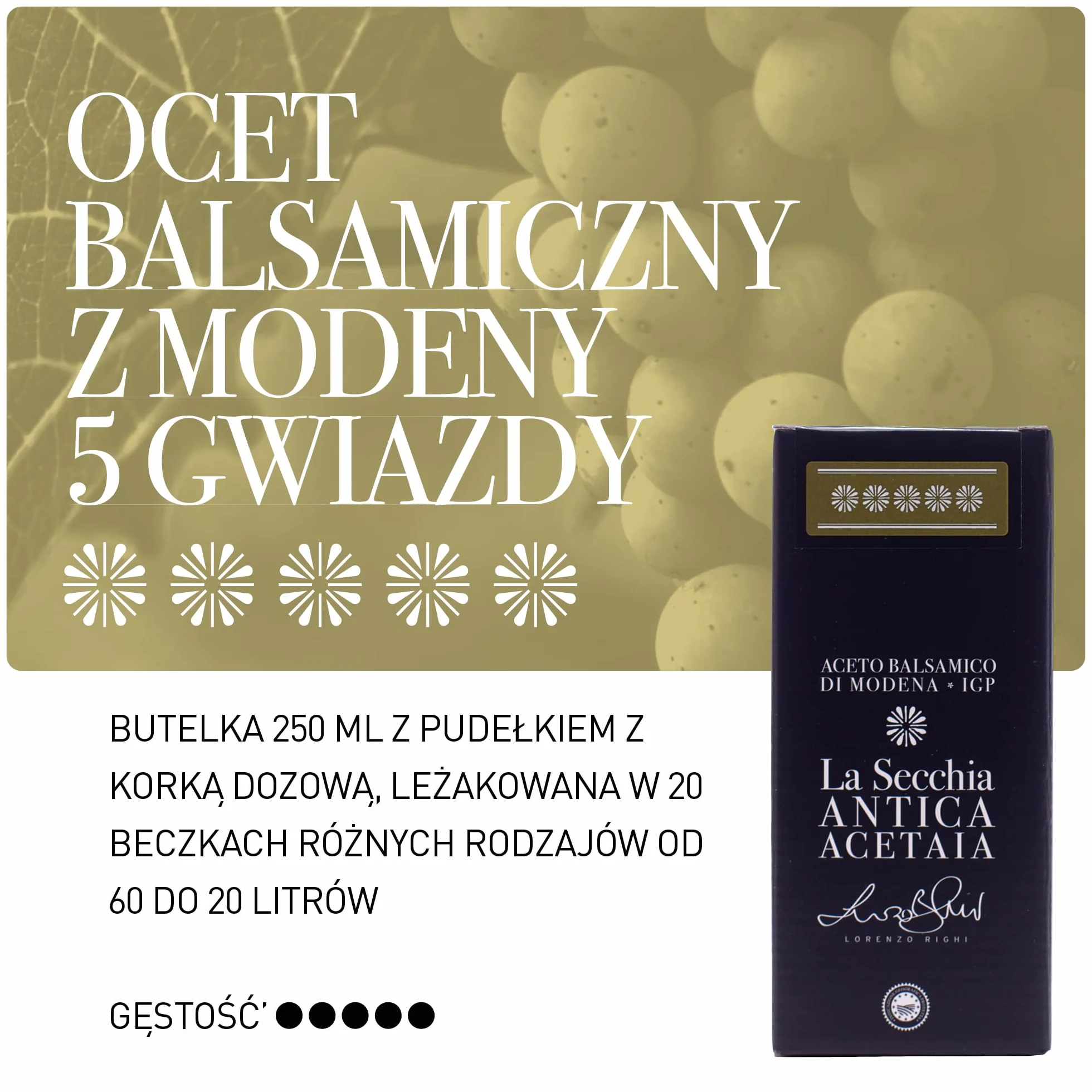 La Secchia - "Cinque Stelle" ChOG Ocet Balsamiczny z Modeny, Dojrzewający w 20 Beczkach z Różnych Gatunków Drewna, Wysoka Gęstość, Butelka 250 ml z Korkiem
