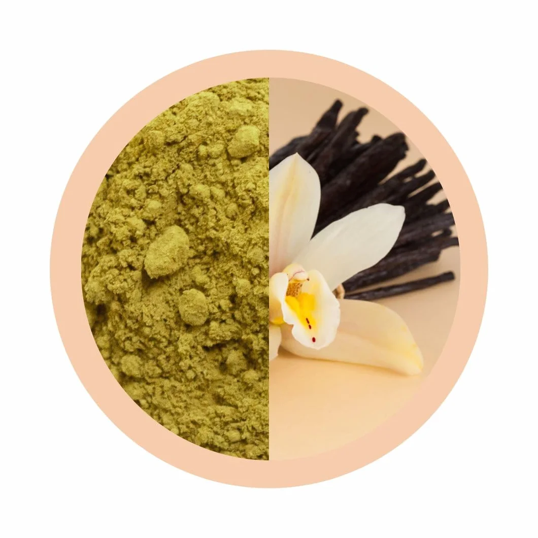 Matchaflix | Matcha Premium Smak Wanilii Herbata (100 g) | Herbata Natychmiastowa | Healthy | Green Drink