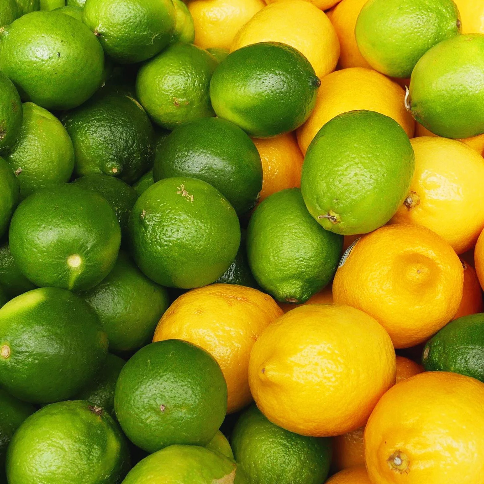 Light - Niskowęglowodanowy - Syrop Fitness by FruttaMax | Zero cukru | ze Stewią | 50% zawartość owoców 500ml (Cytryna-Limonka - Light)
