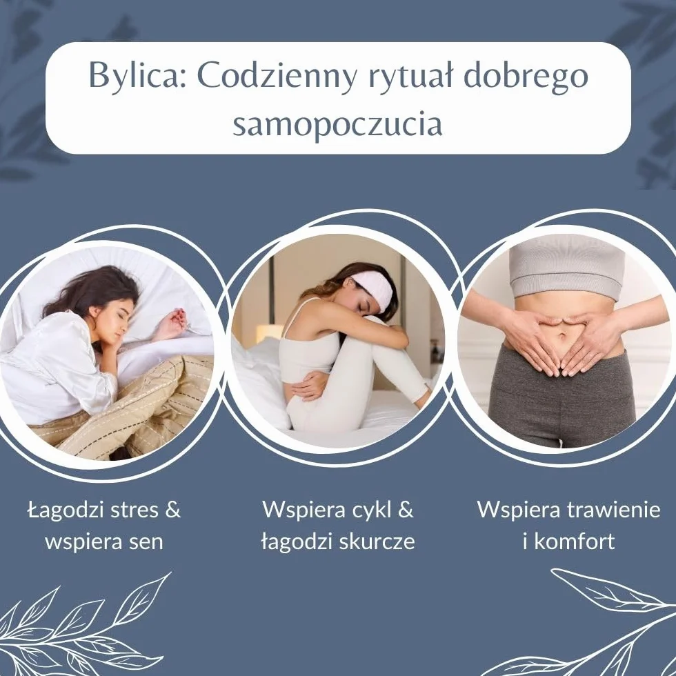 Luźne liście i łodygi bylicy pospolitej – herbata ziołowa i wspomagająca trawienie – Artemisia Vulgaris L. – uprawa ekologiczna – pakowana we Francji – torebka 100 g (50 filiżanek)