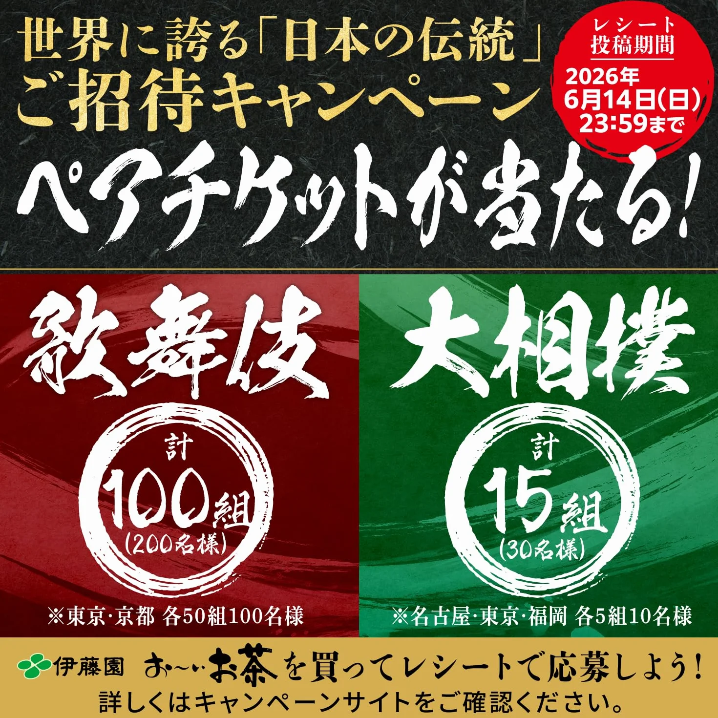Itoen - Premium Tea Bag zestaw 60 opakowań: Ryokucha (Sencha Green Tea), Houjicha, Genmaicha na 20 torebek