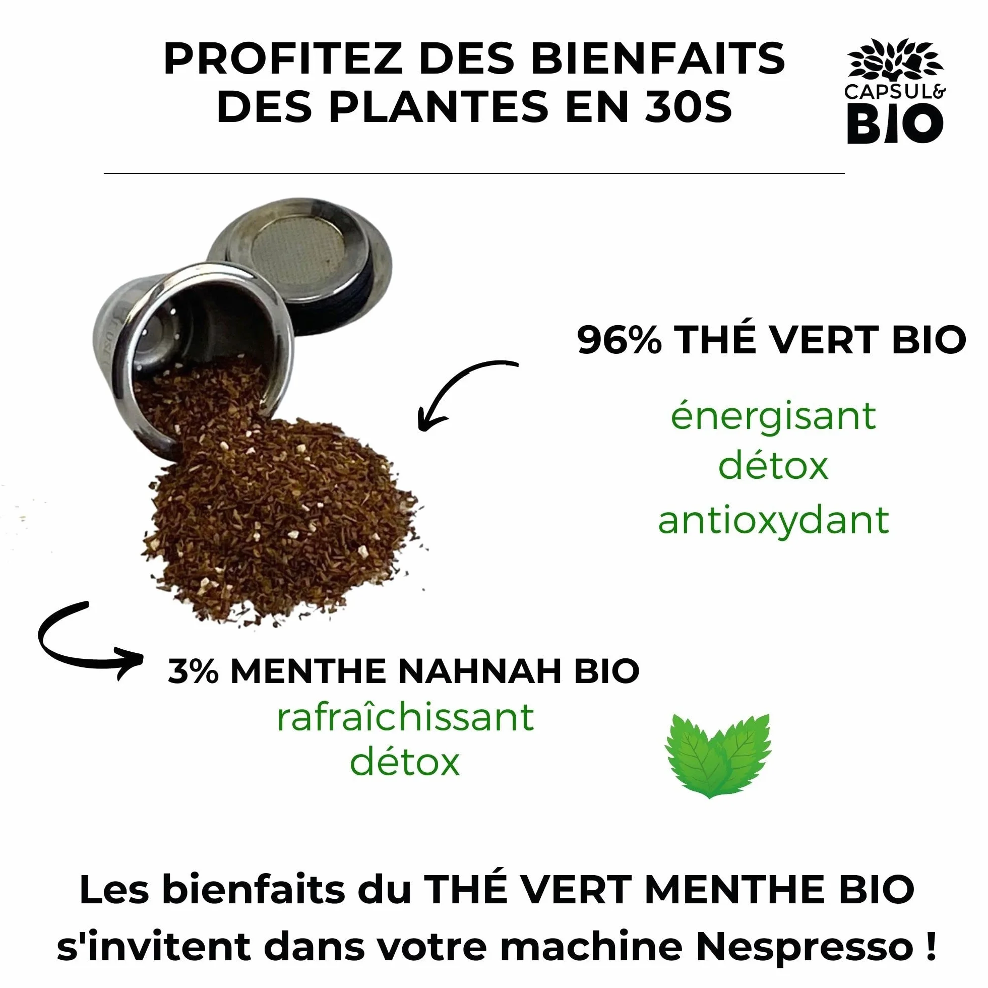 CAPSUL&BIO Liście herbaty luzem zielona herbata MTHE Bio - specjalny drobny krój - 100 gramów saszetki- Wyprodukowano we Francji
