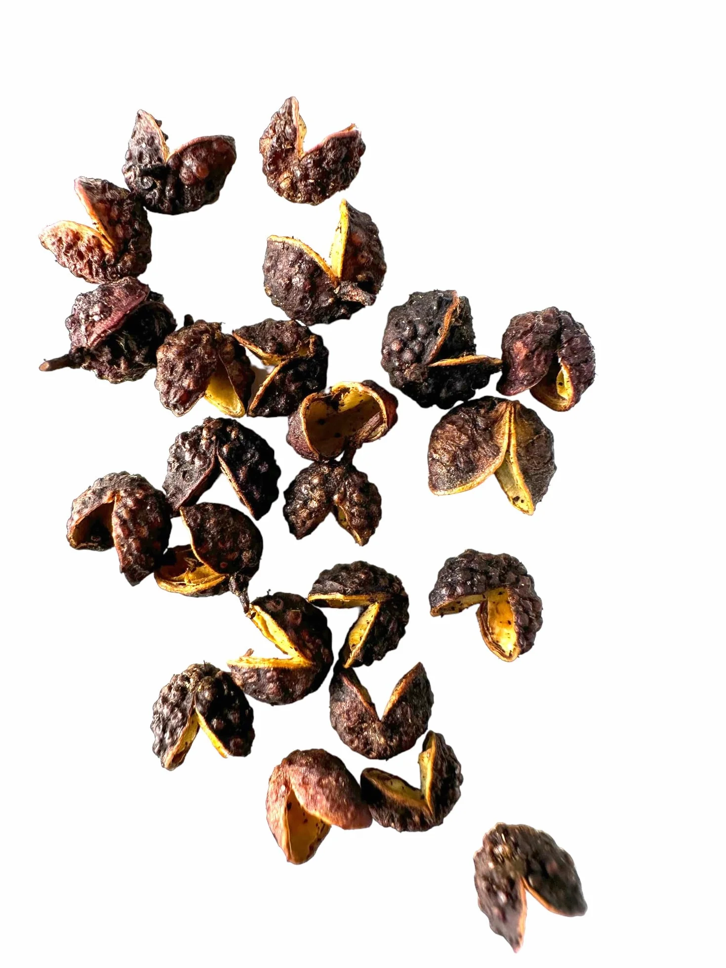 REPLANT Timut Pfeffer 150 g – Grand Cru Nepal 2023 – Sichuan Pfeffer – Pfeffer Ganz – czarny pfefferkörner für die Mühle Geeignet – Wiederverschließbarer Beutel FreshZIP_AB
