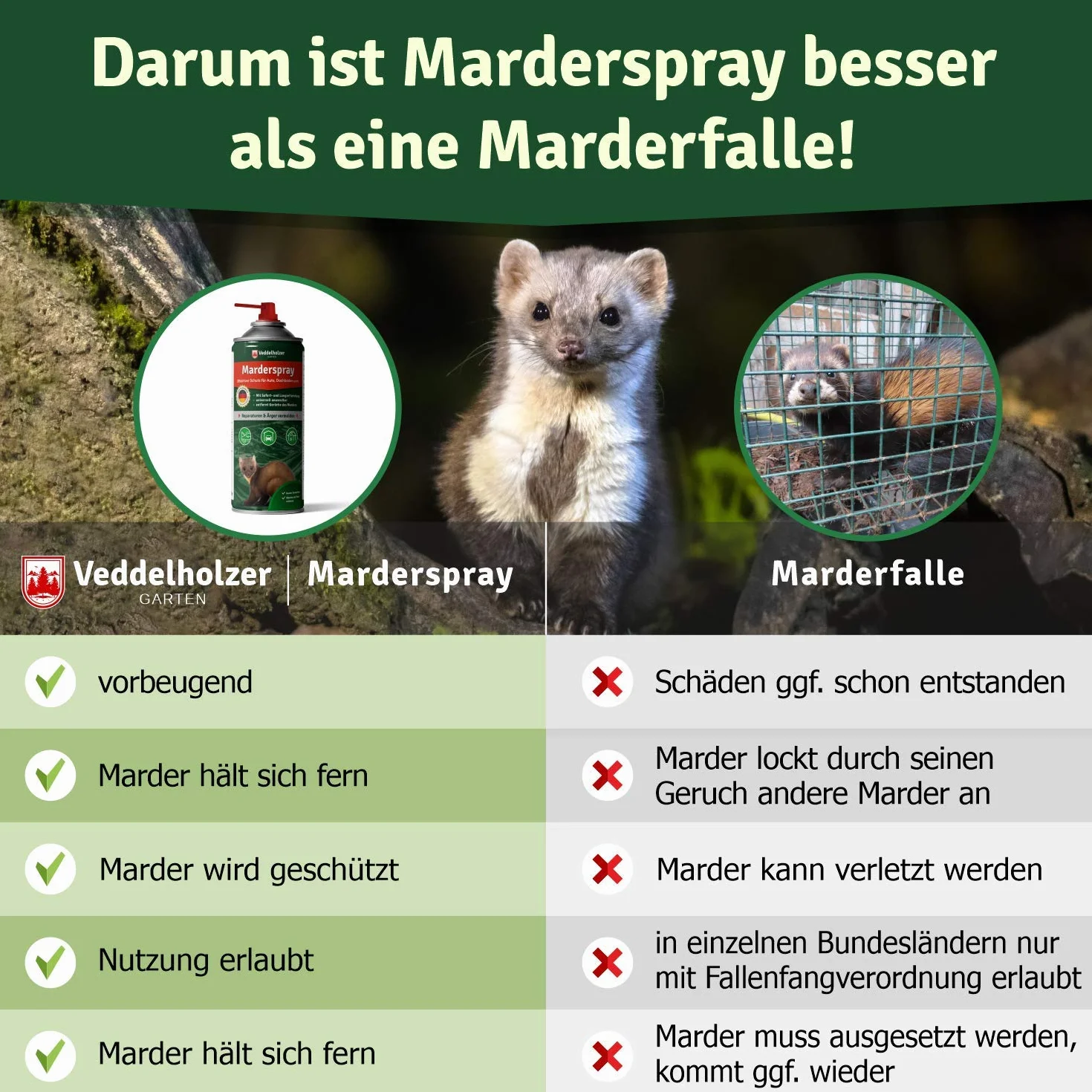 Veddelholzer spray na kuny do samochodu, strychu i garażu | 400 ml | Natychmiastowa i długotrwała ochrona przed kunami i obiektami dzięki skutecznej ochronie przed kunami | Odstraszacz kunów