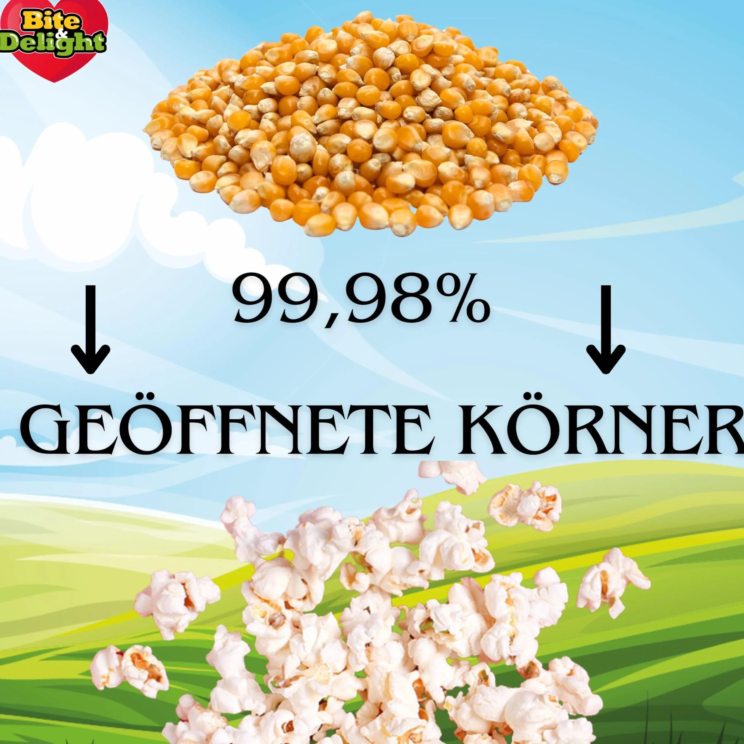 Bite & Delight KUKURYDZA POPCORN do prażenia Bez dodatków 99,9% OTWARTYCH ZIAREN 2,5KG
