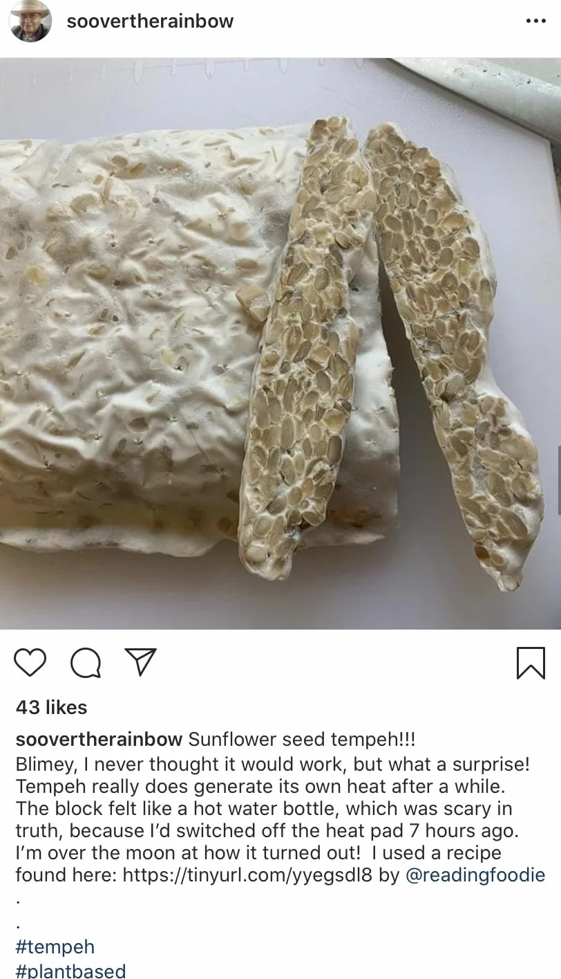 Tempehtation Starter do Tempeh 70g, Bezglutenowy i Organiczny, Wyprodukowano w Szkocji, 35kg Wydajności