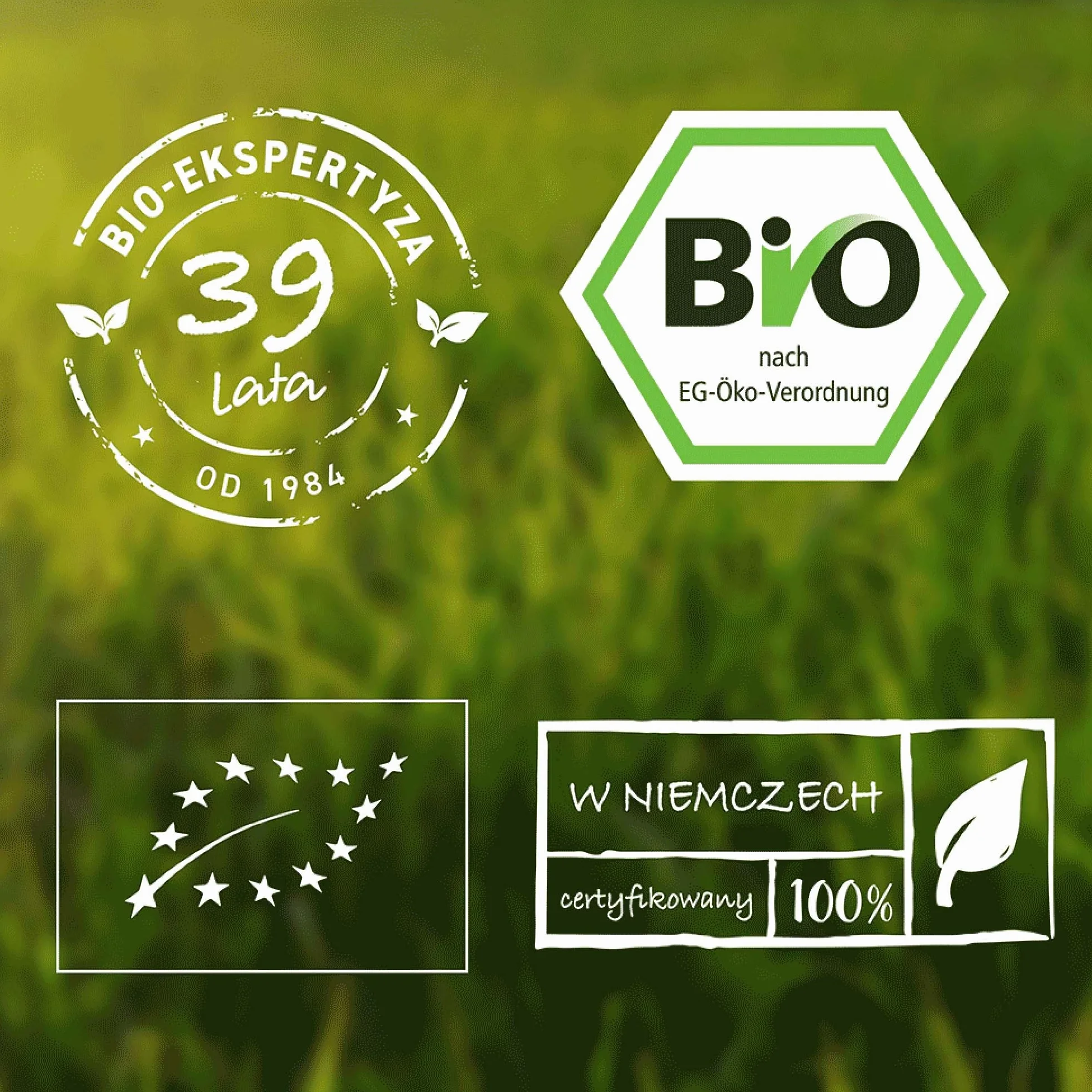 Biotiva Kurkuma w proszku ekologiczna 1 kg kurkumina min. 3% naturalny superfood