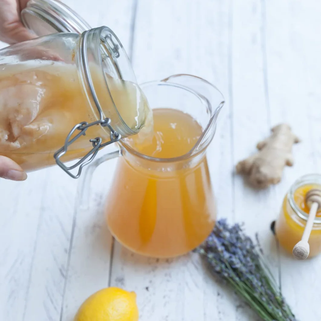 Good Gut Tribe Organic Original Kombucha Scoby