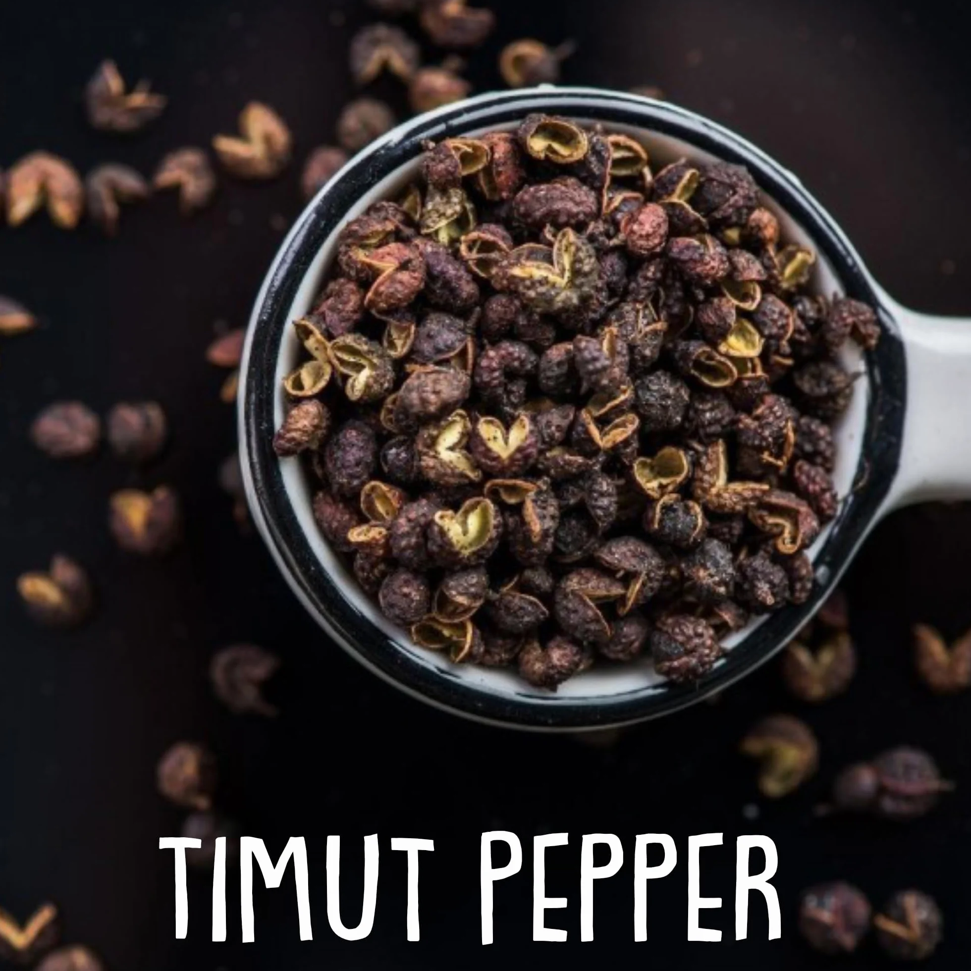 REPLANT Timut Pfeffer 150 g – Grand Cru Nepal 2023 – Sichuan Pfeffer – Pfeffer Ganz – czarny pfefferkörner für die Mühle Geeignet – Wiederverschließbarer Beutel FreshZIP_AB