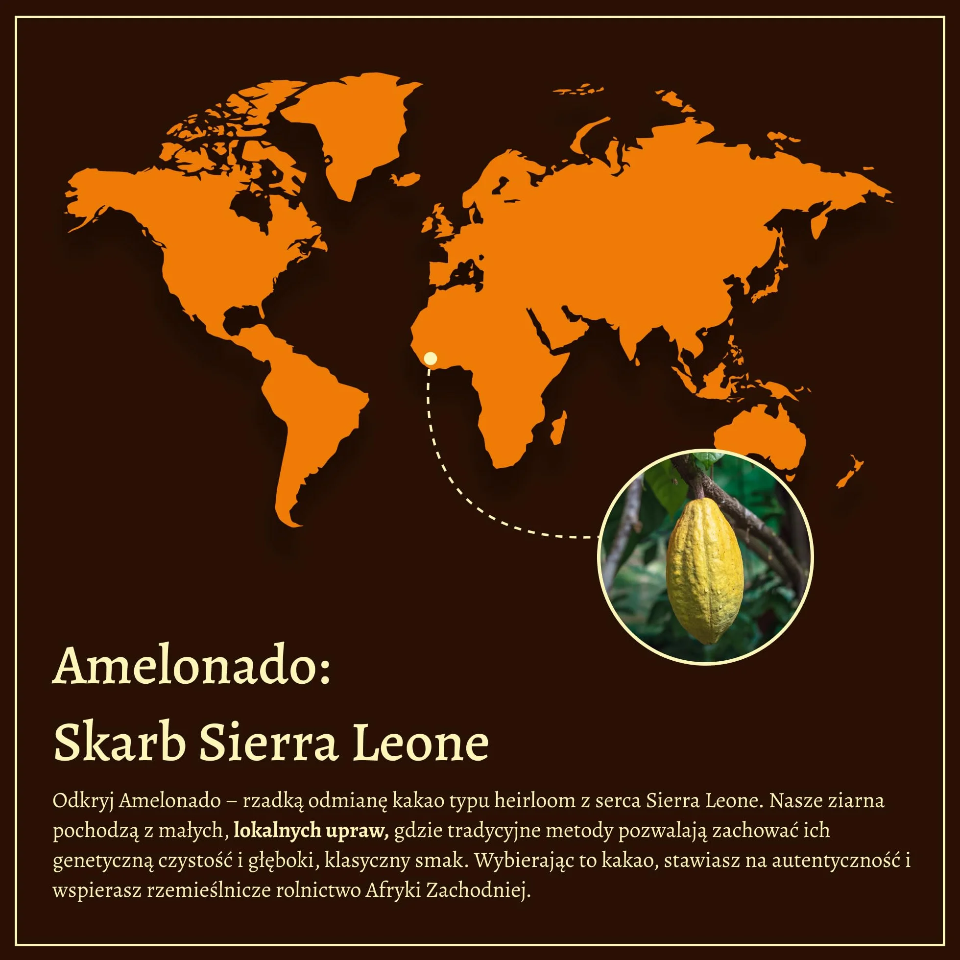 Ceremonialne Kakao 100% Single Origin 150g Keto Masa Kakaowa do Picia Bez Cukru Bez GMO Tradycyjne