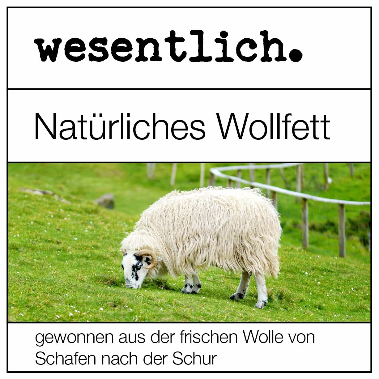 Lanolin Wollfett anhydrat 1000g - wasserfrei und kaum Geruch - Wollwachs von wesentlich.