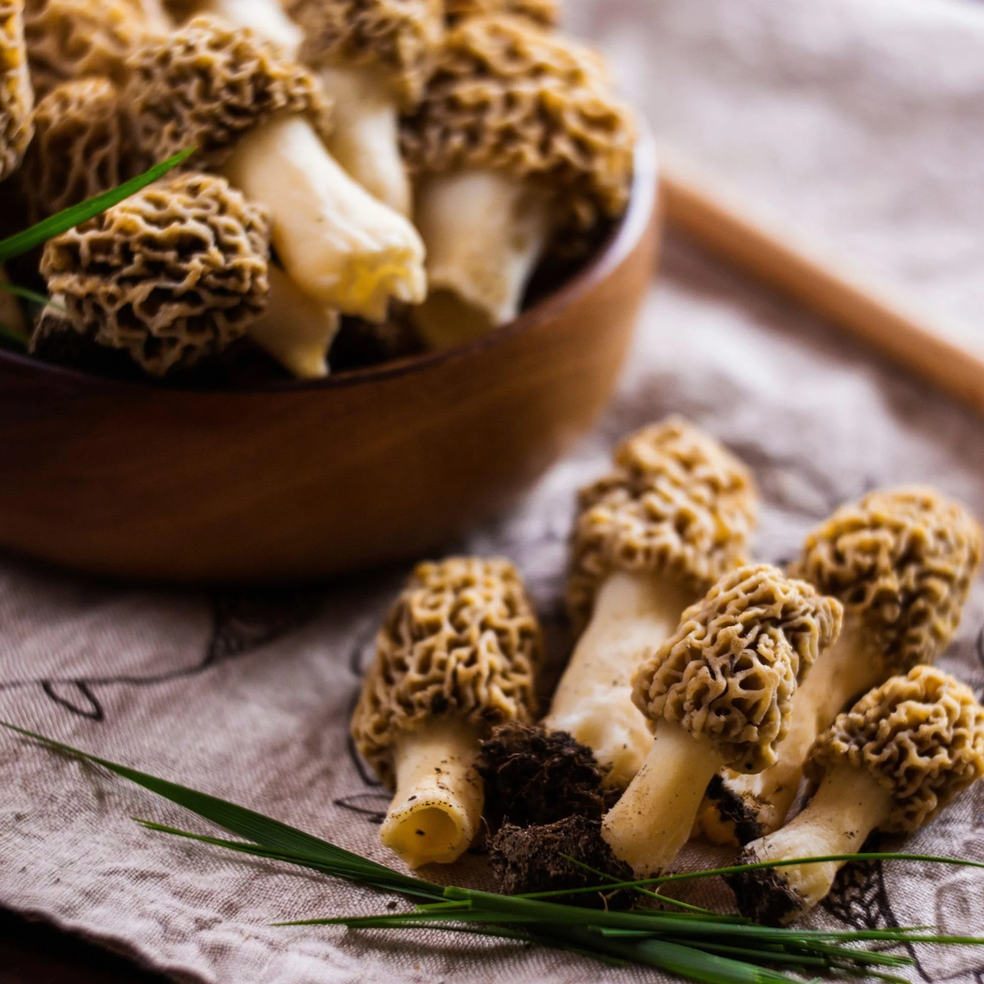 IDDA Suszone Grzyby Smardze 100g Morchella