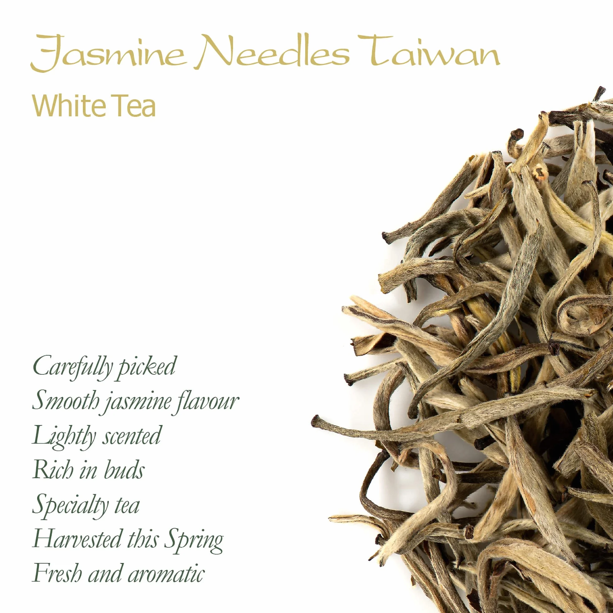 Herbata biała jaśminowa Silver Needle Moli Yinzhen
