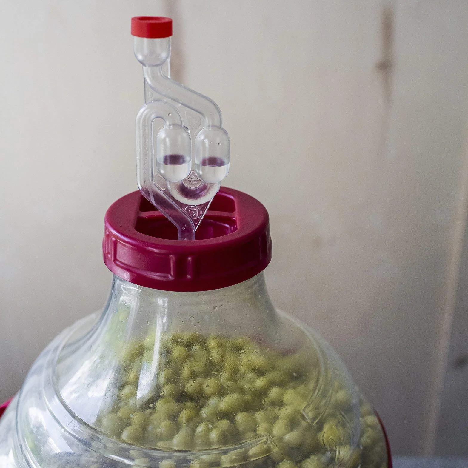 Browin drożdże restartowe 22 g na 25 l do wina Re-Ferment