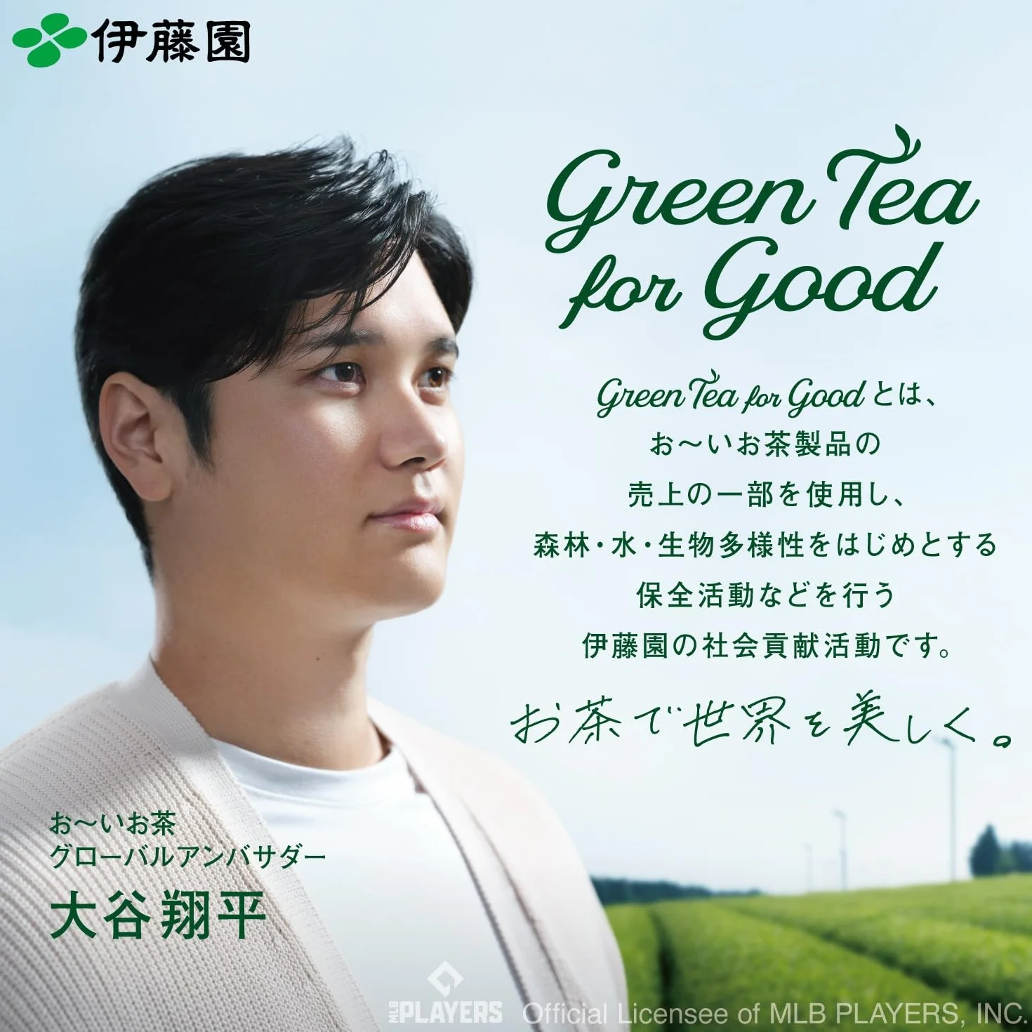 Itoen Premium Green Tea Bags 1,8 g 20 Pack