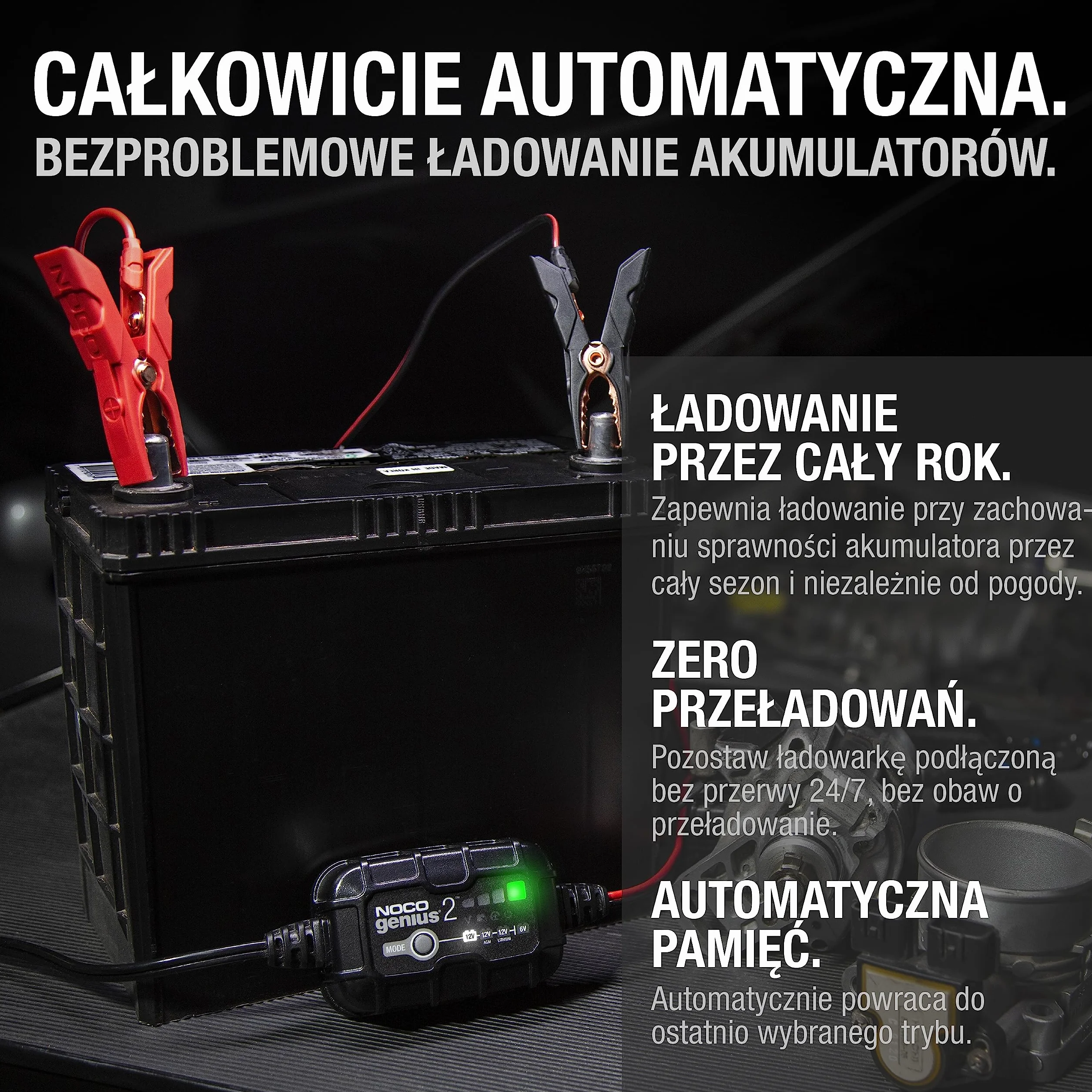 Noco FP 26 010 Ładowarka Akumulatorowa, Czarny, 2A